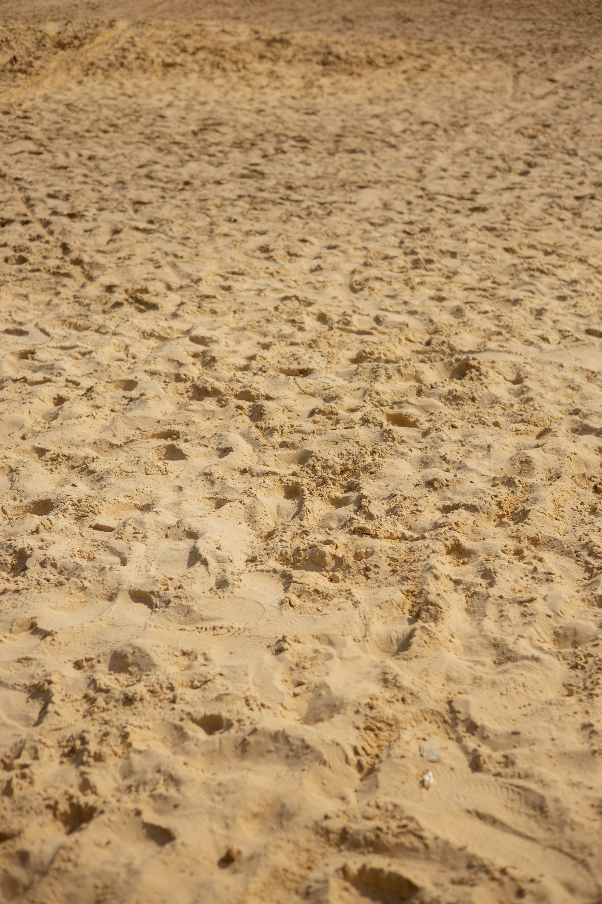 Пляж. Оформление свадеб, декор свадеб Вера Маркова, Москва