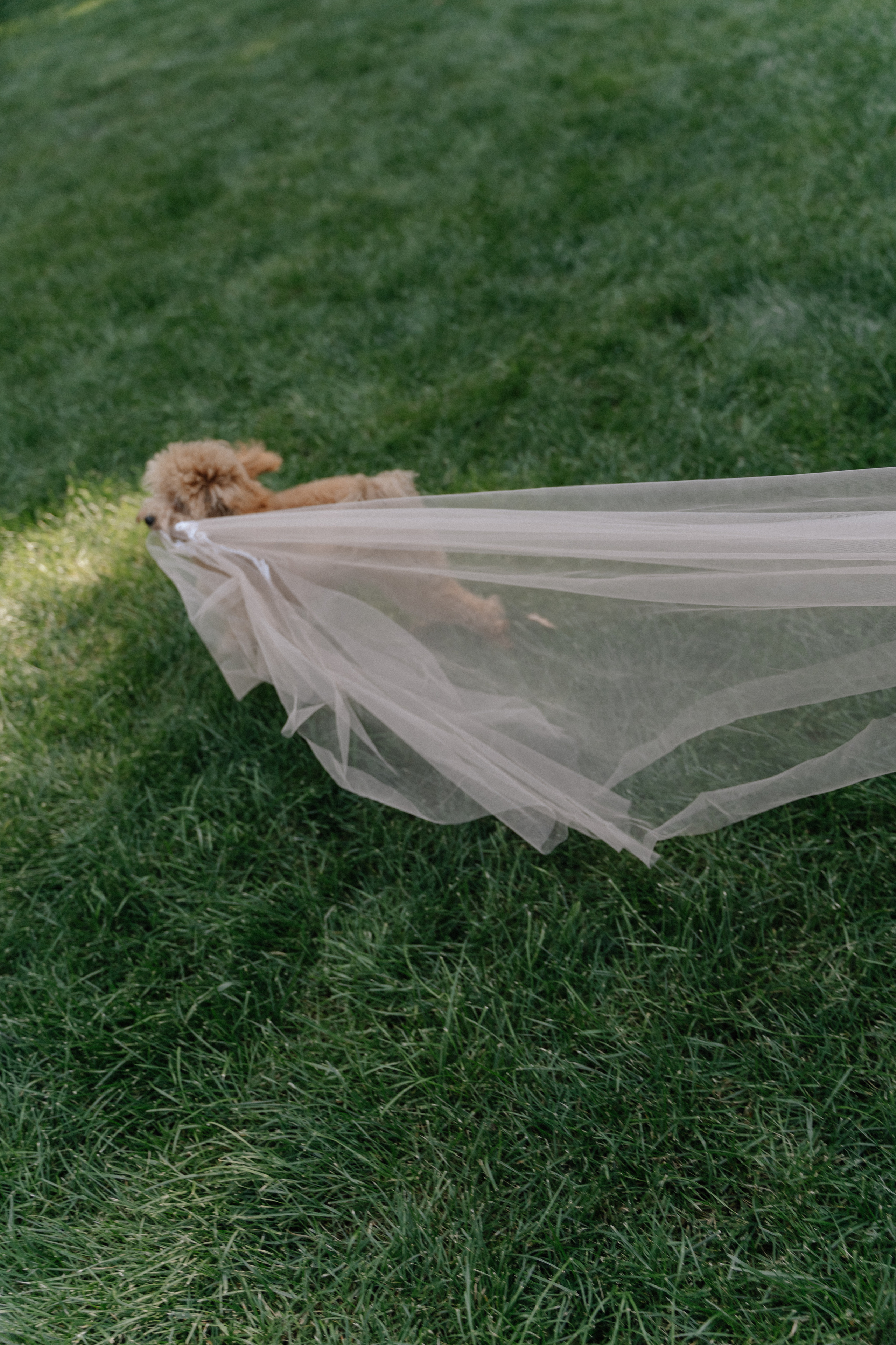 Stand By Me. Фотограф Ксения Тимченко. Бережно к вам и вашим чувствам