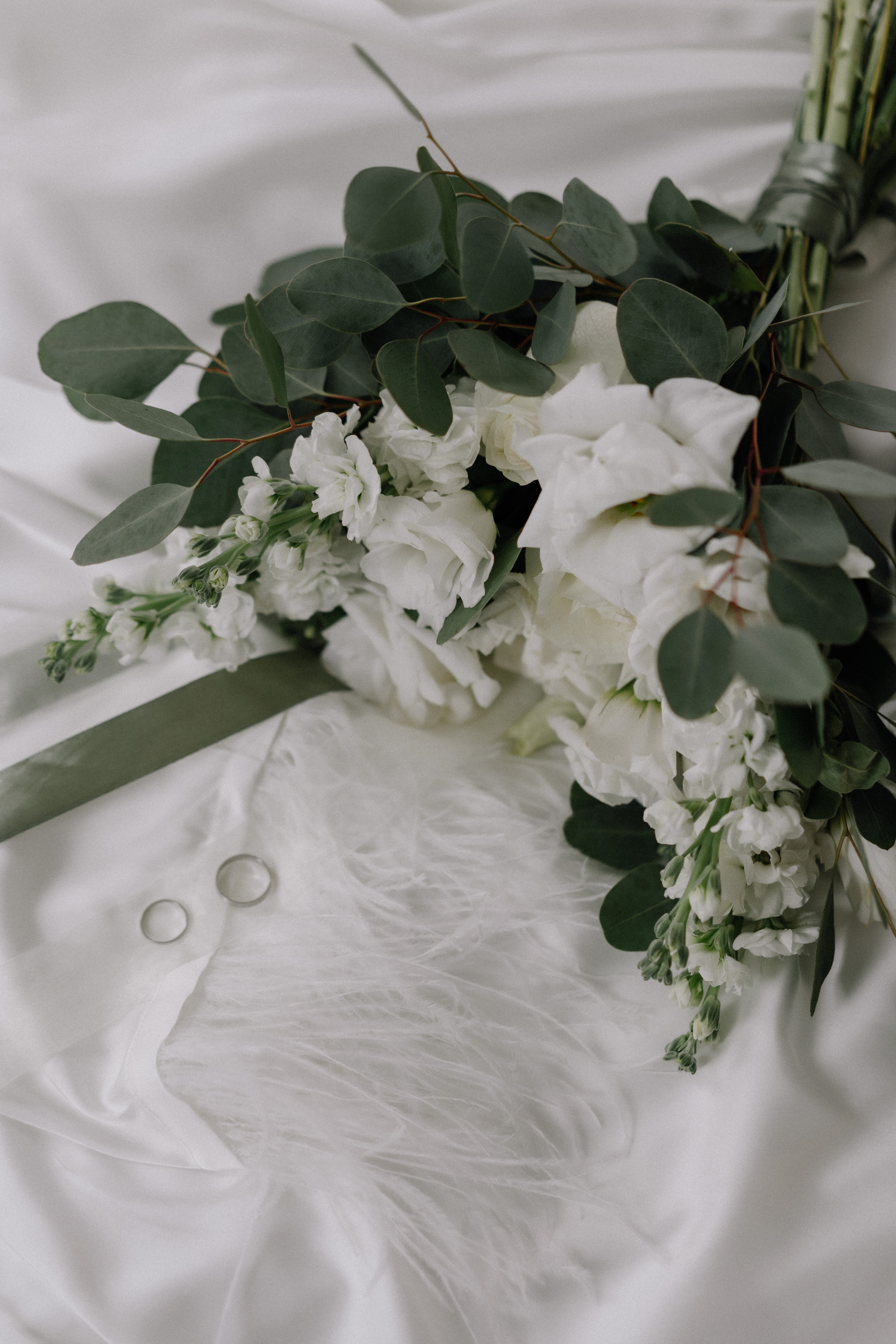 Одним зимним днем. Фотограф Ксения Тимченко. Бережно к вам и вашим чувствам