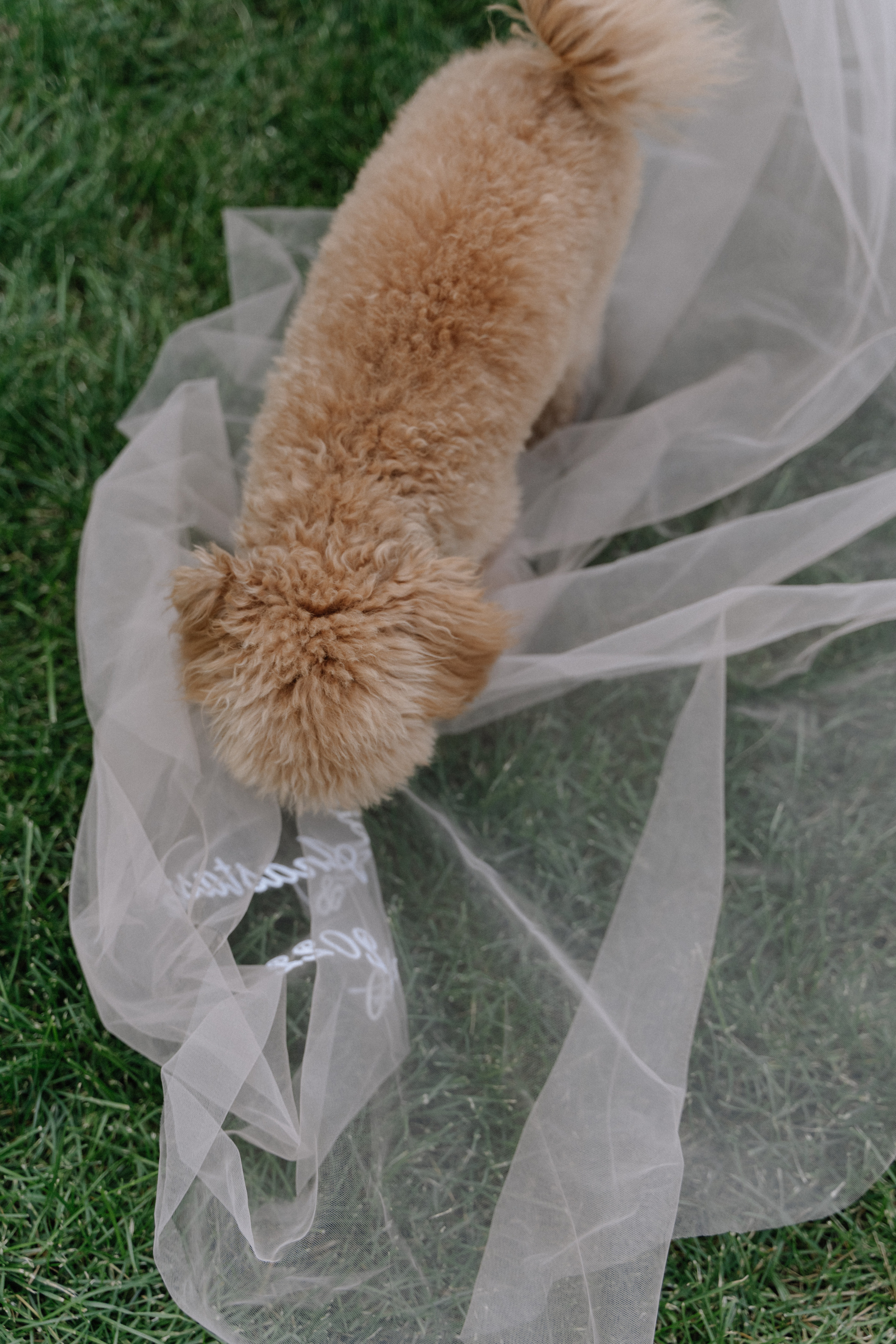 Stand By Me. Фотограф Ксения Тимченко. Бережно к вам и вашим чувствам