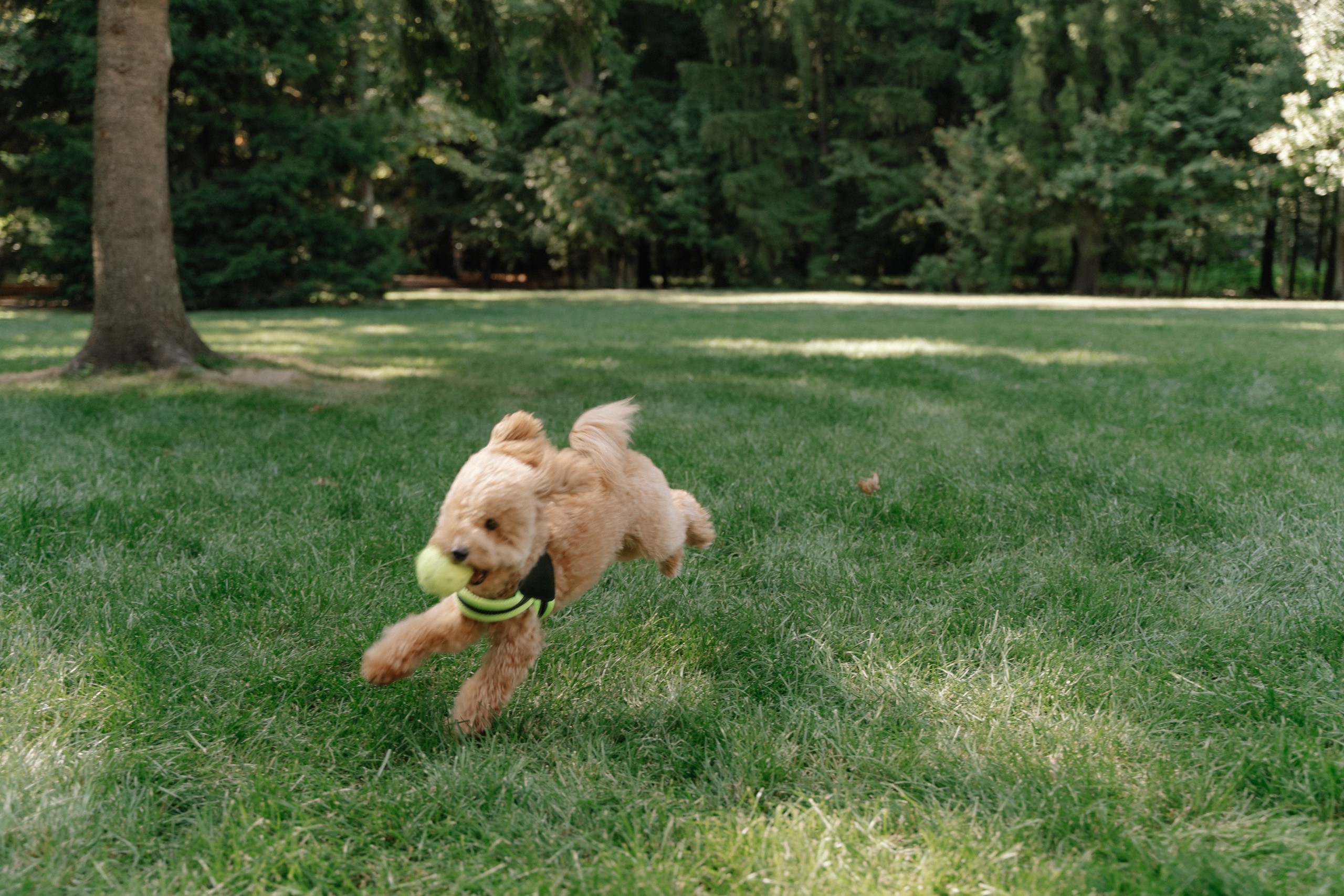 Stand By Me. Фотограф Ксения Тимченко. Бережно к вам и вашим чувствам