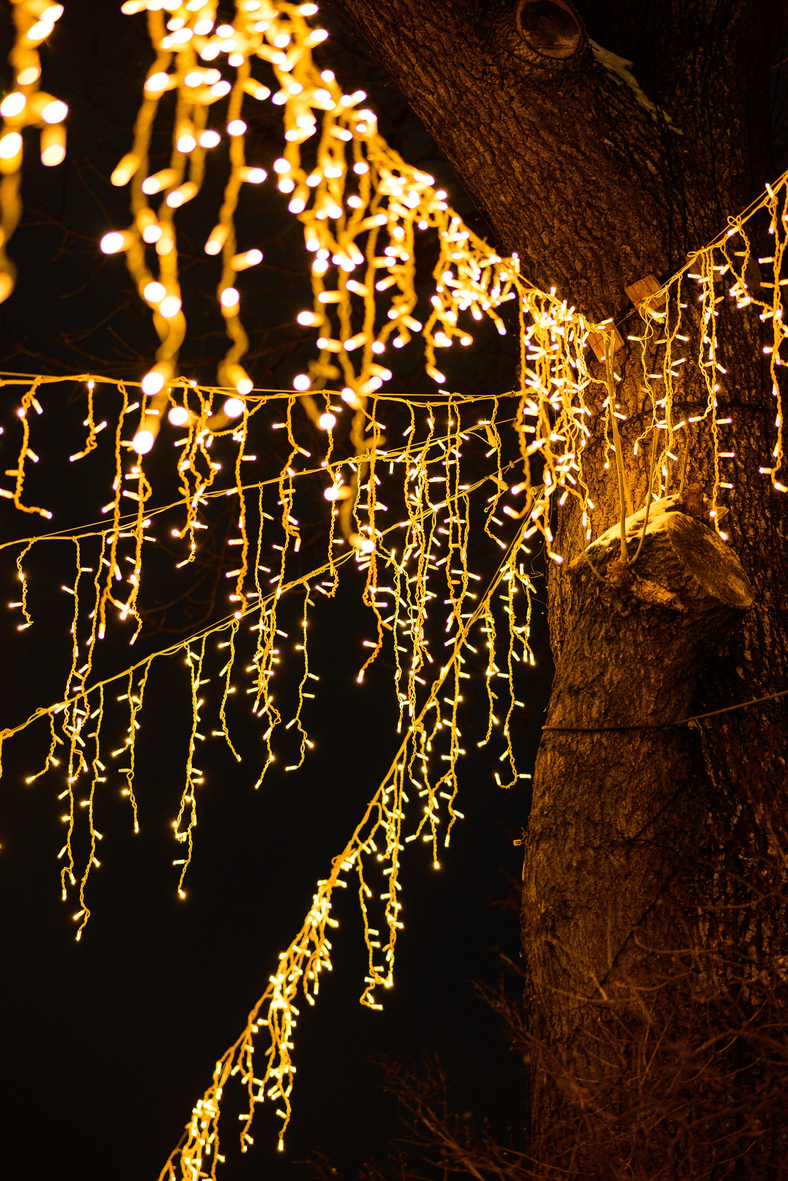 Зимняя Калининградская область. Фотосъемка и видеосъемка в Калининграде Liveemotion.pro