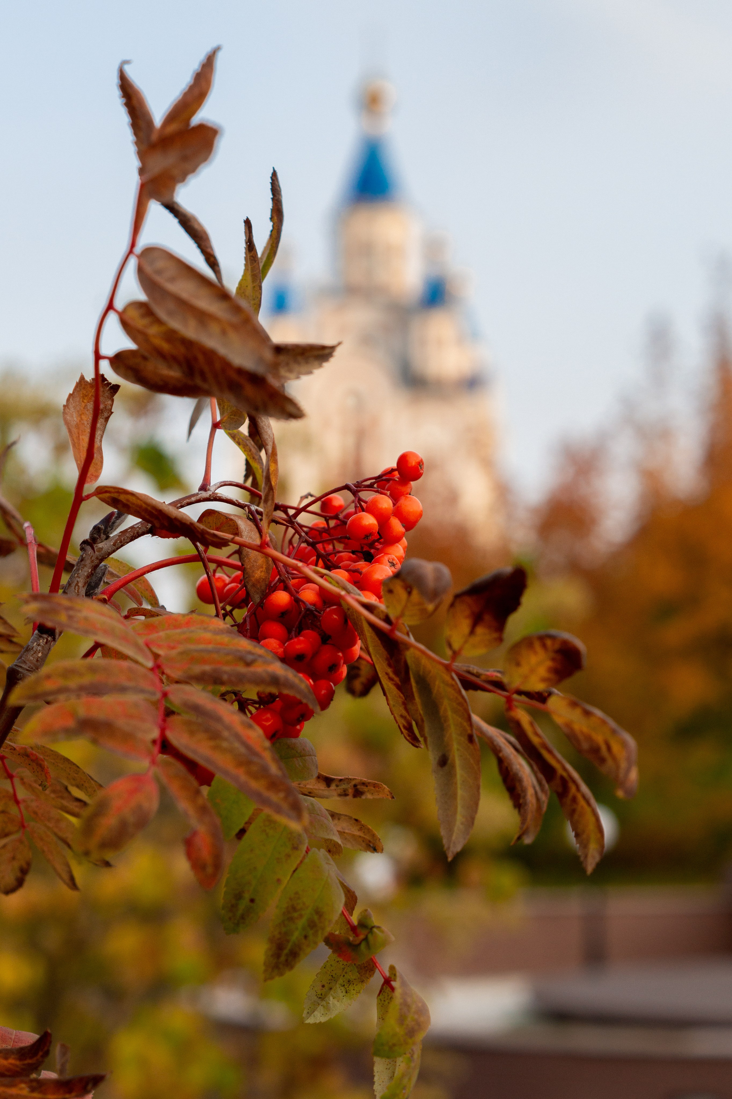 Осень в городе. Фотограф Ariadna Хабаровск/Уфа