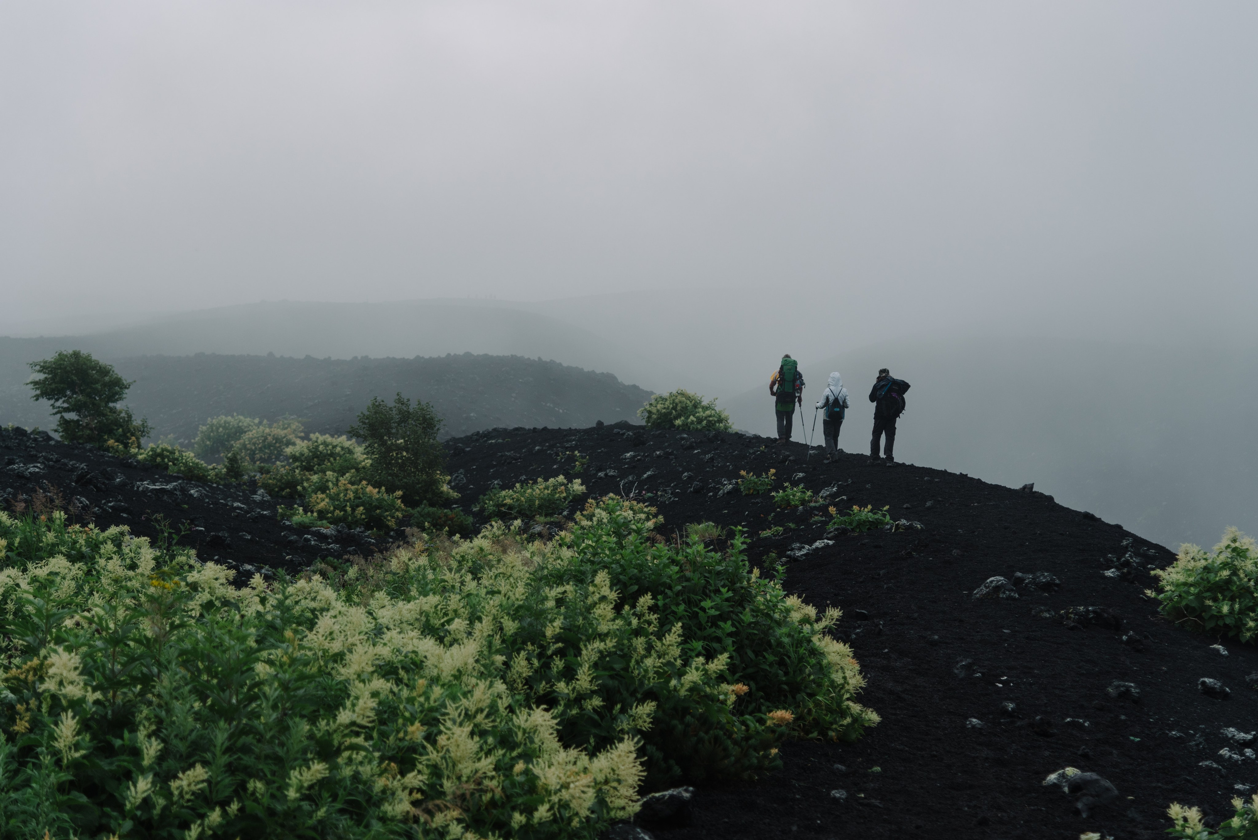 Сахалин и Курильские острова. Фотограф Алиса Калинина