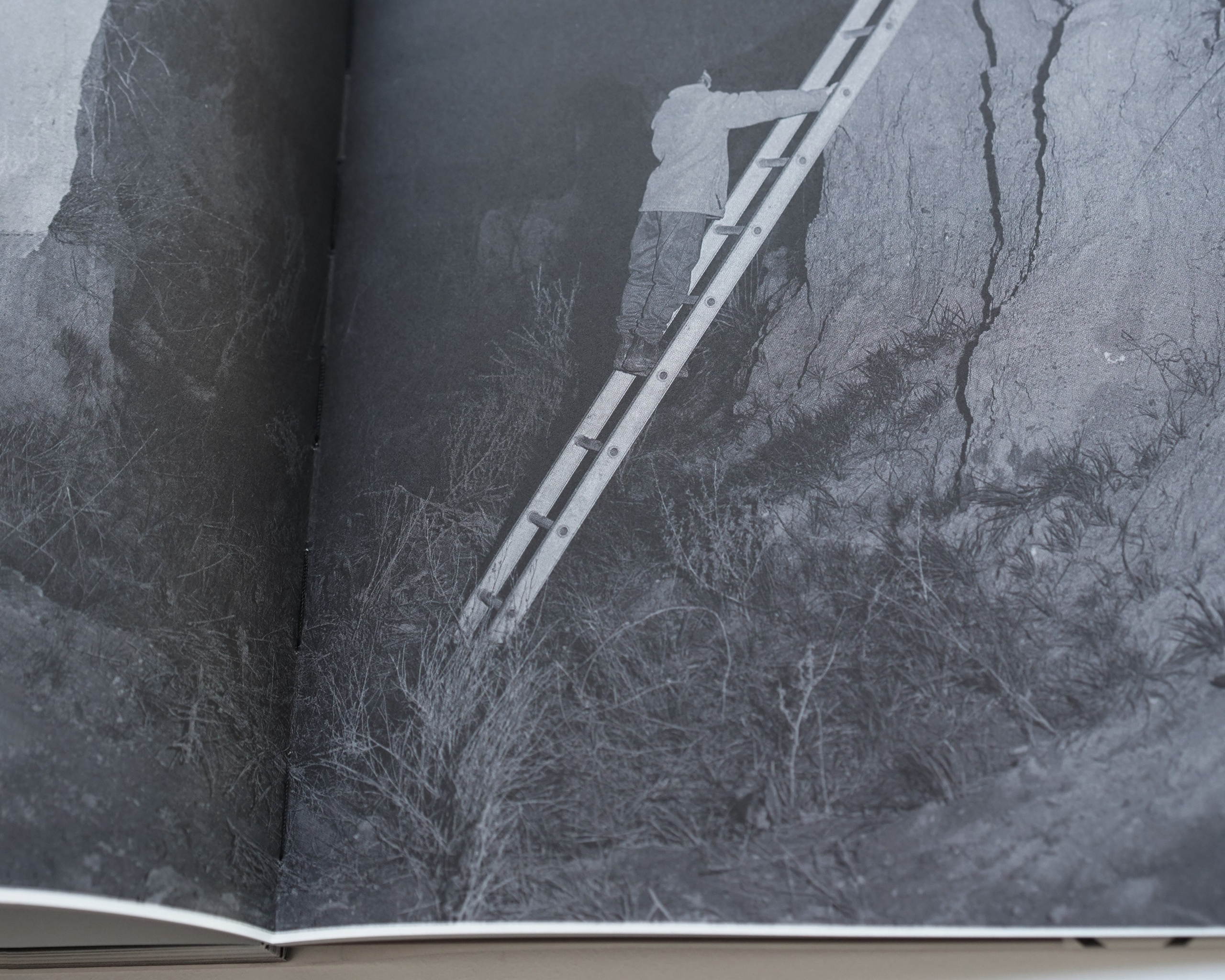 Фотокнижная библиотека Кати Селезнёвой. Фотограф и исследователь фотографии из Санкт-Петербурга Елизавета Веприцкая