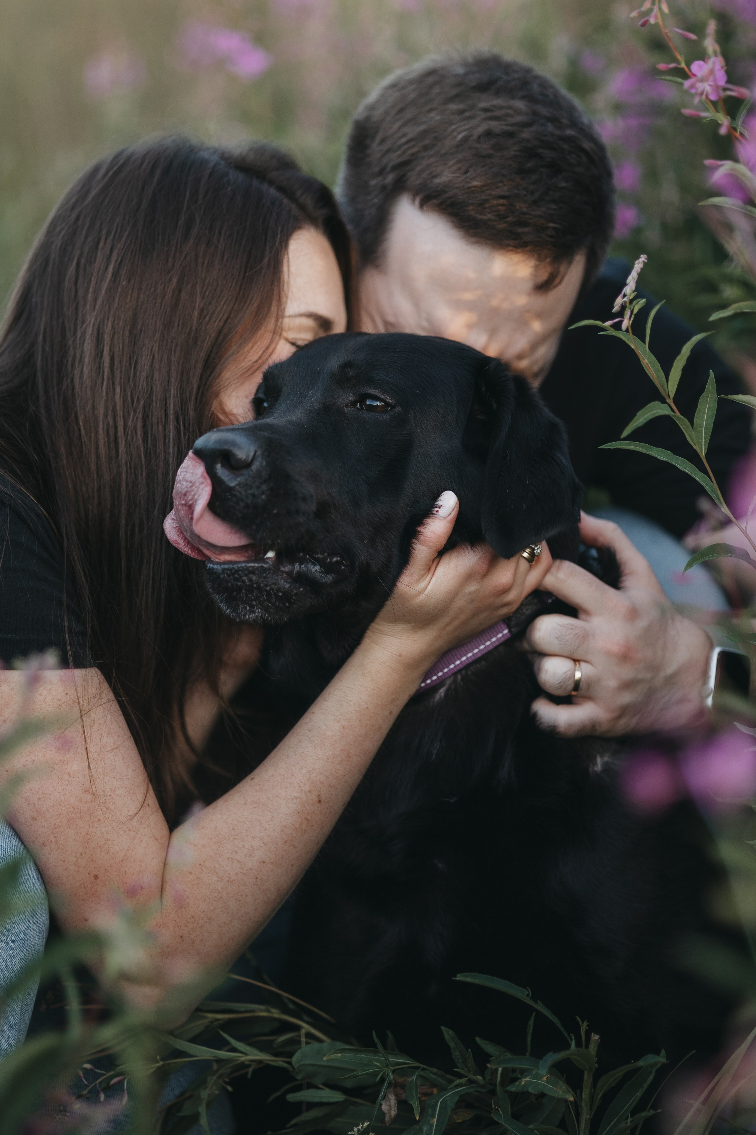 Бомбей и его семья. Фотограф — Анималист | Санкт-Петербург