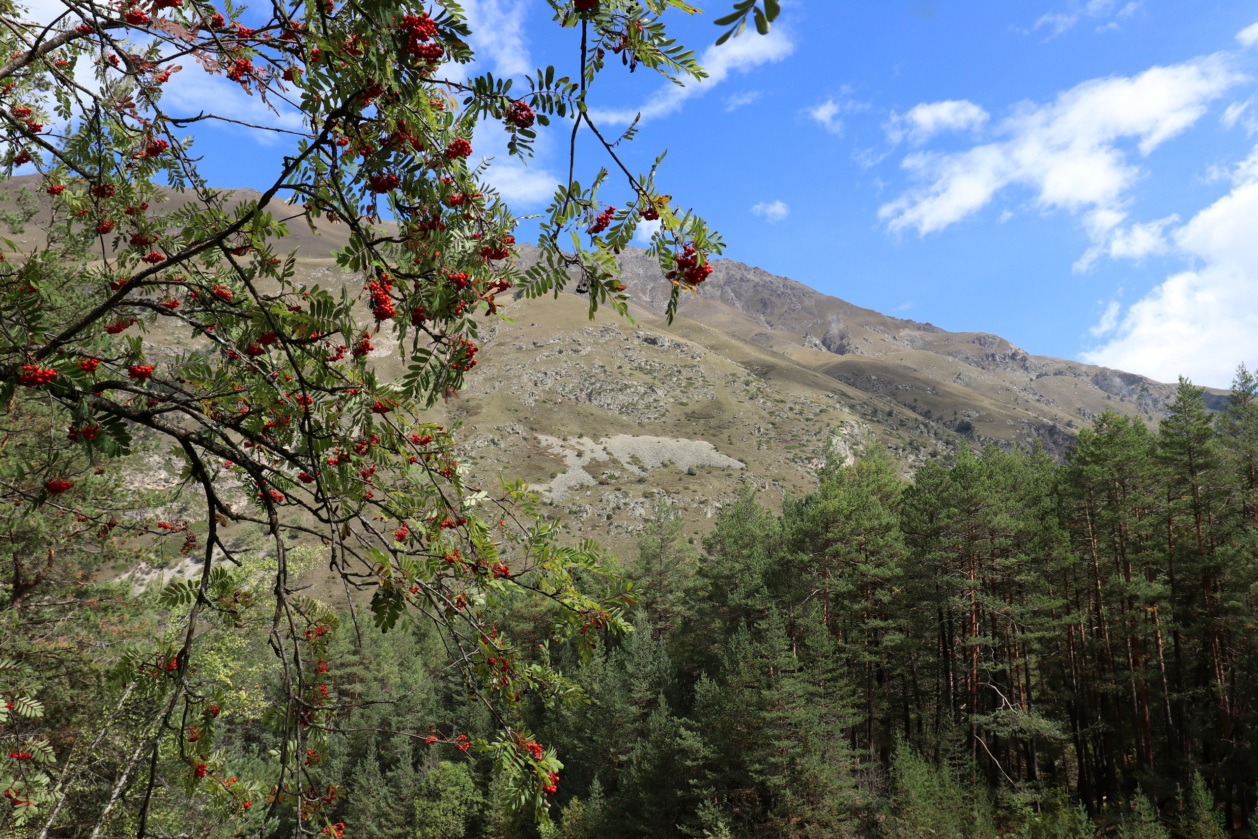 Приэльбрусье. Сентябрь 2024. Путешественник-фотограф из Санкт-Петербурга Татьяна Свистулина