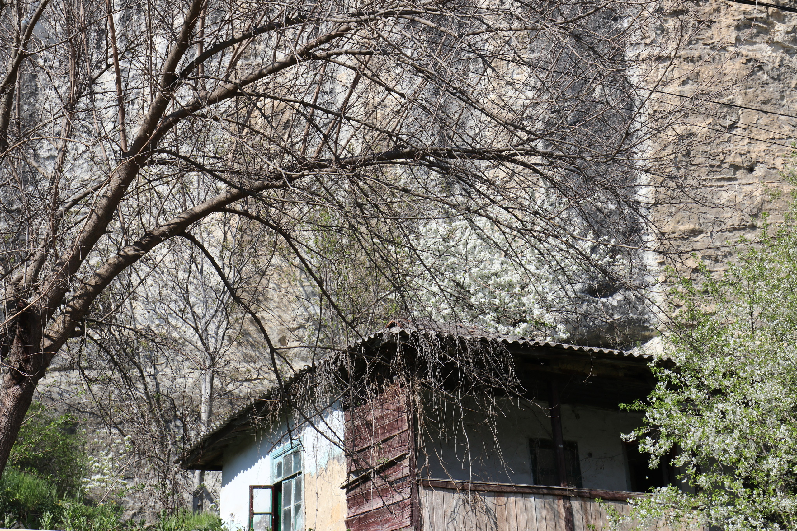 Крым. ЮБК (Бахчисарай, Кастрополь, Таракташская тропа). Май 2021. Путешественник-фотограф из Санкт-Петербурга Татьяна Свистулина