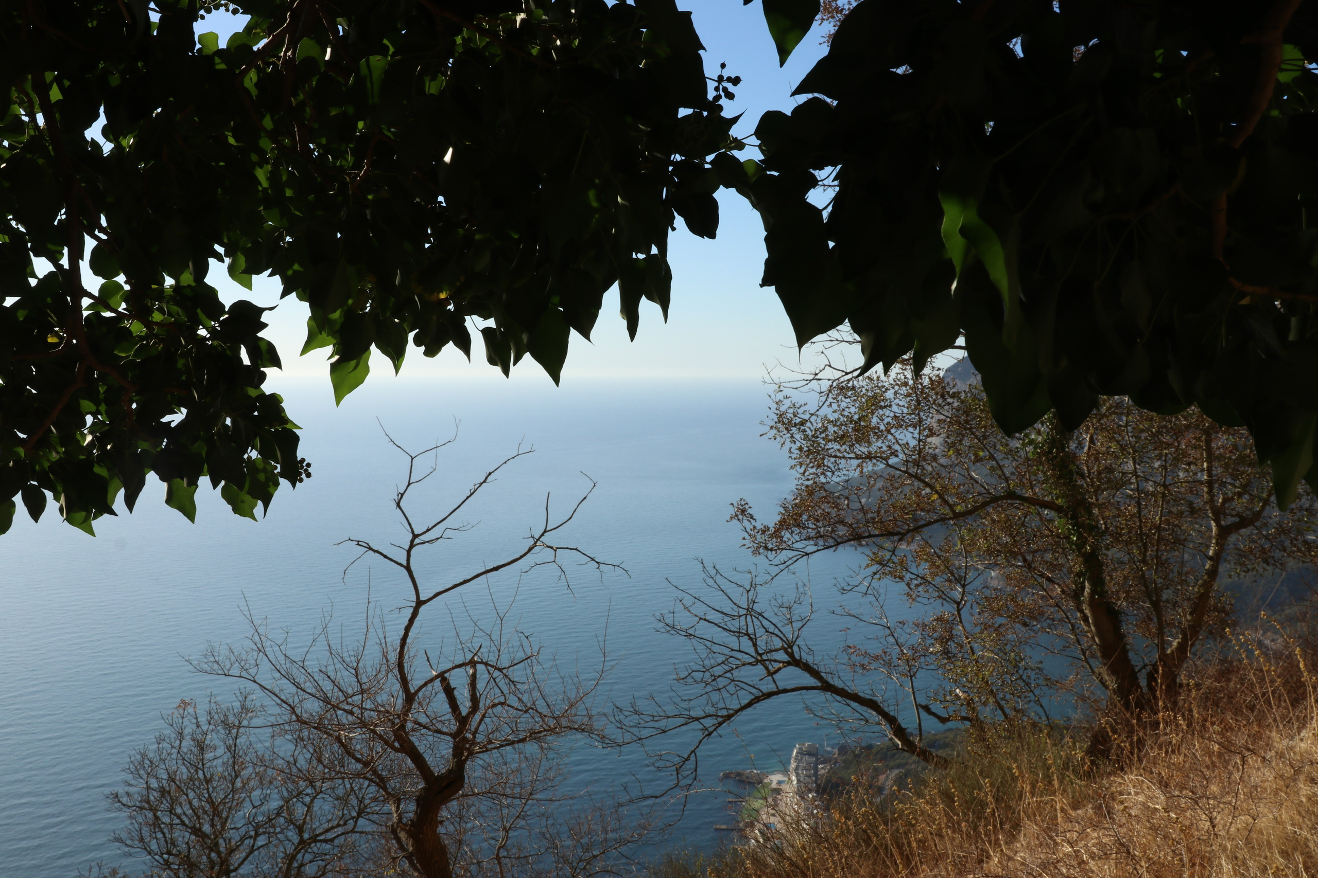 Крым. ЮБК (Гурзуф, Судак и их окрестности). Ноябрь 2023. Путешественник-фотограф из Санкт-Петербурга Татьяна Свистулина