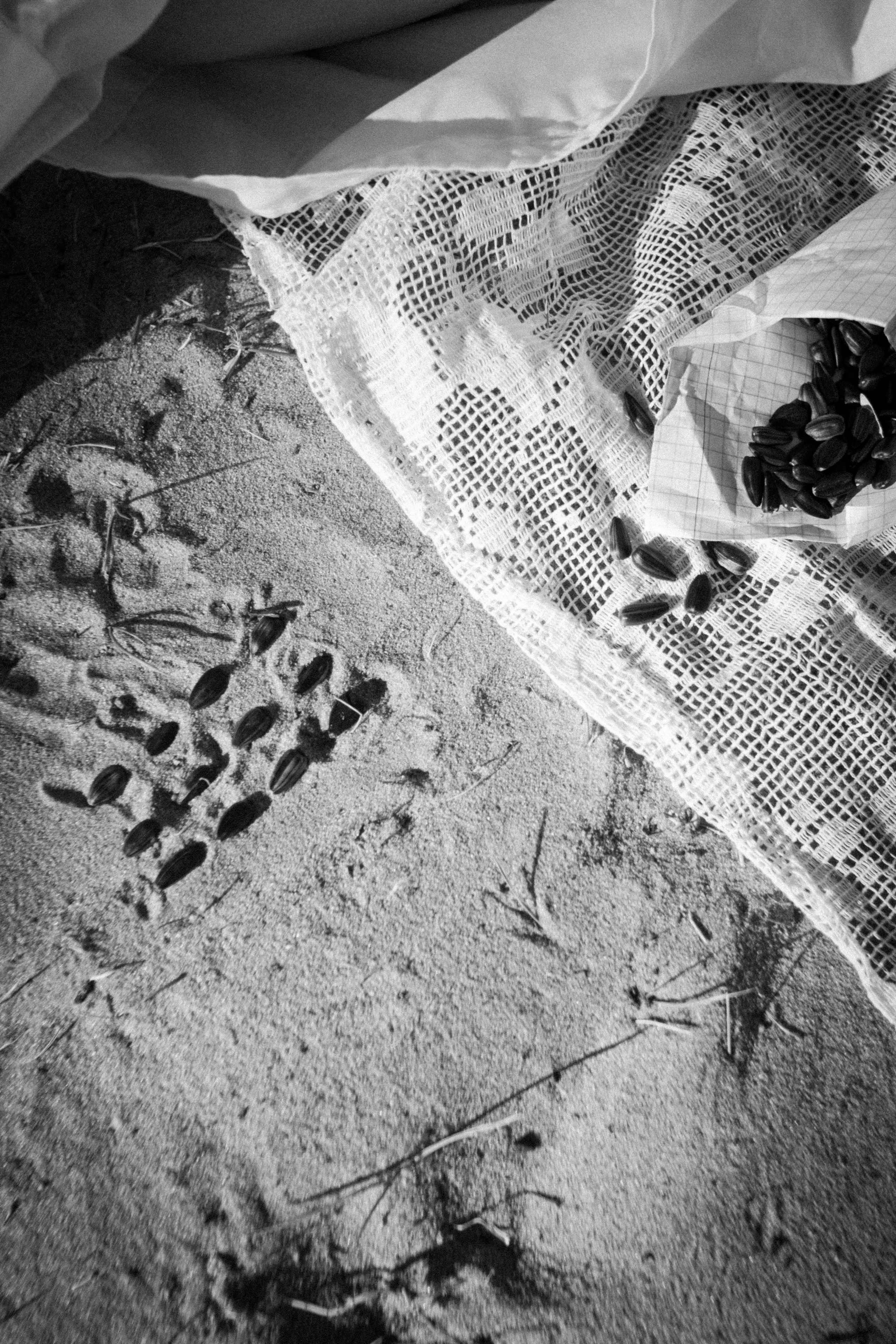 Лето задержалось. • Фотограф Александра Светозар Алчевск •