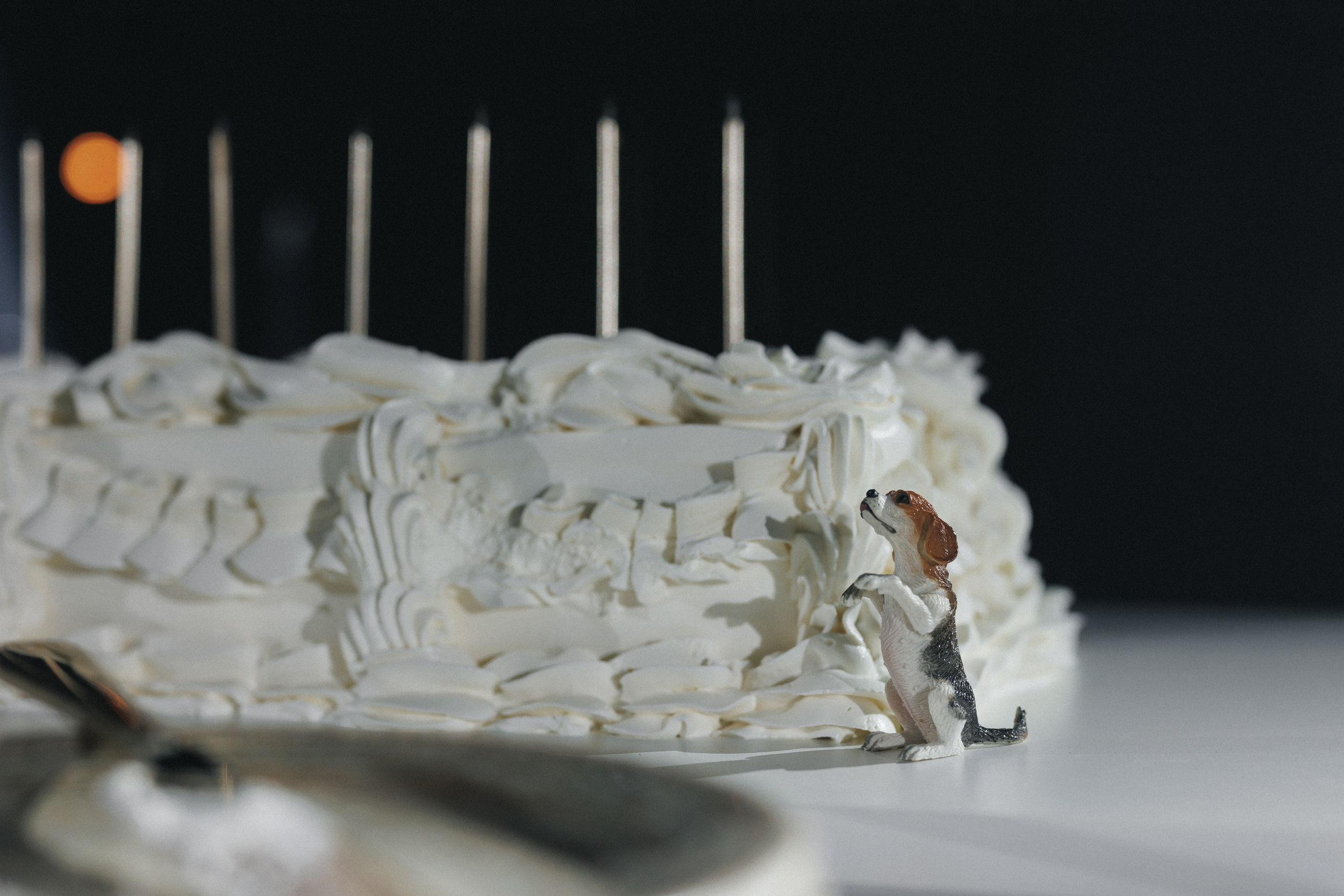 Никита & Регина. Свадебный и семейный фотограф Татьяна Селезнева