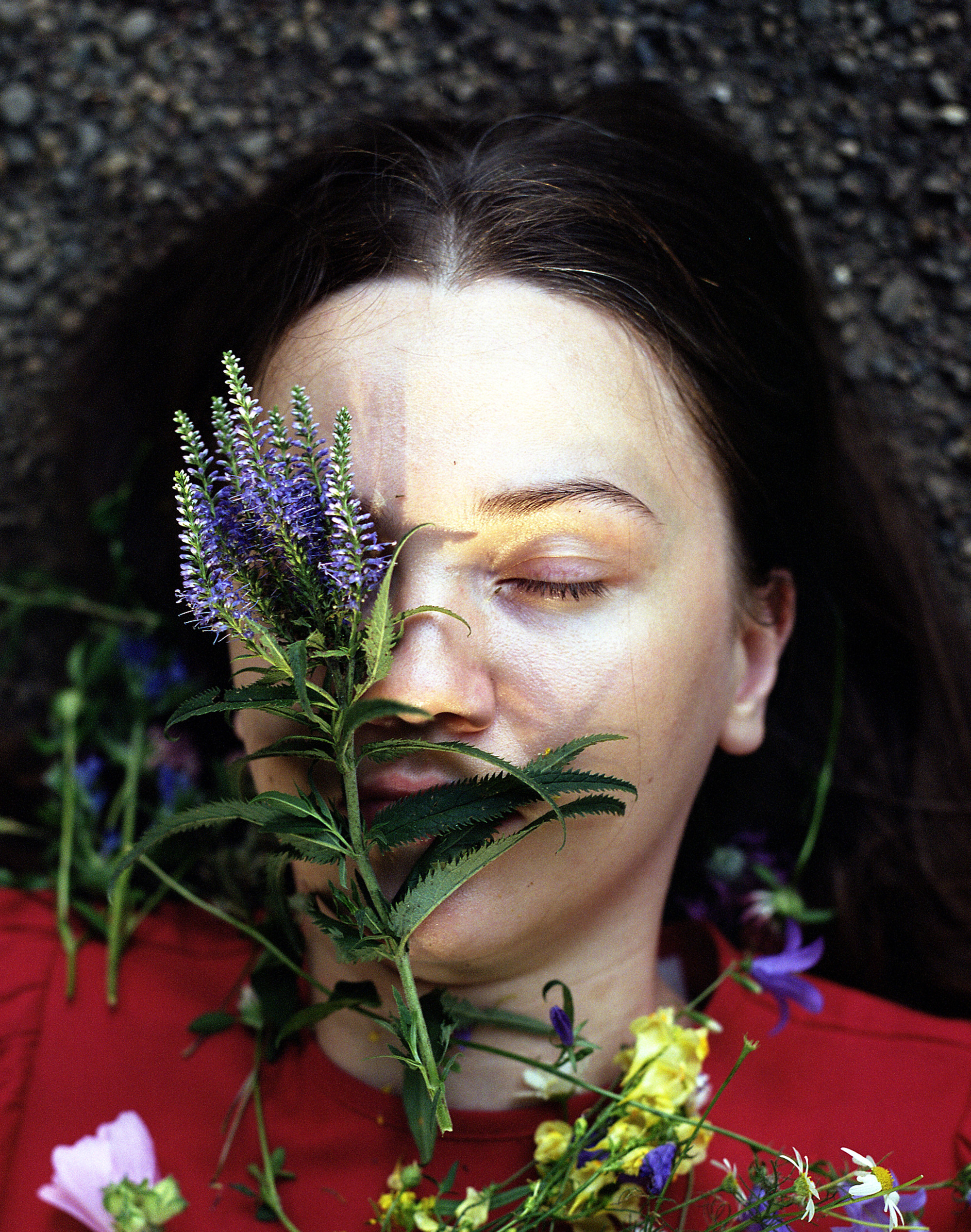 Volchok. Yana Bulgakova Photographhy