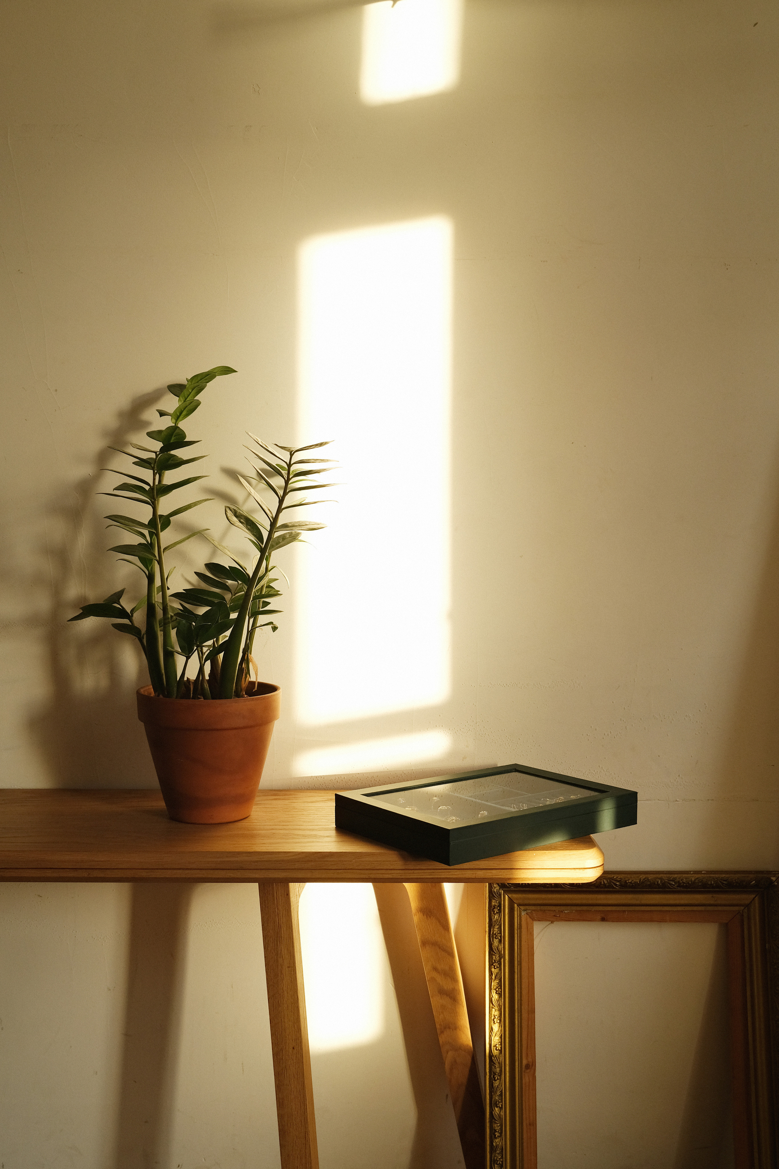 Zhelezo jewelry. Фотограф Яна Булгакова