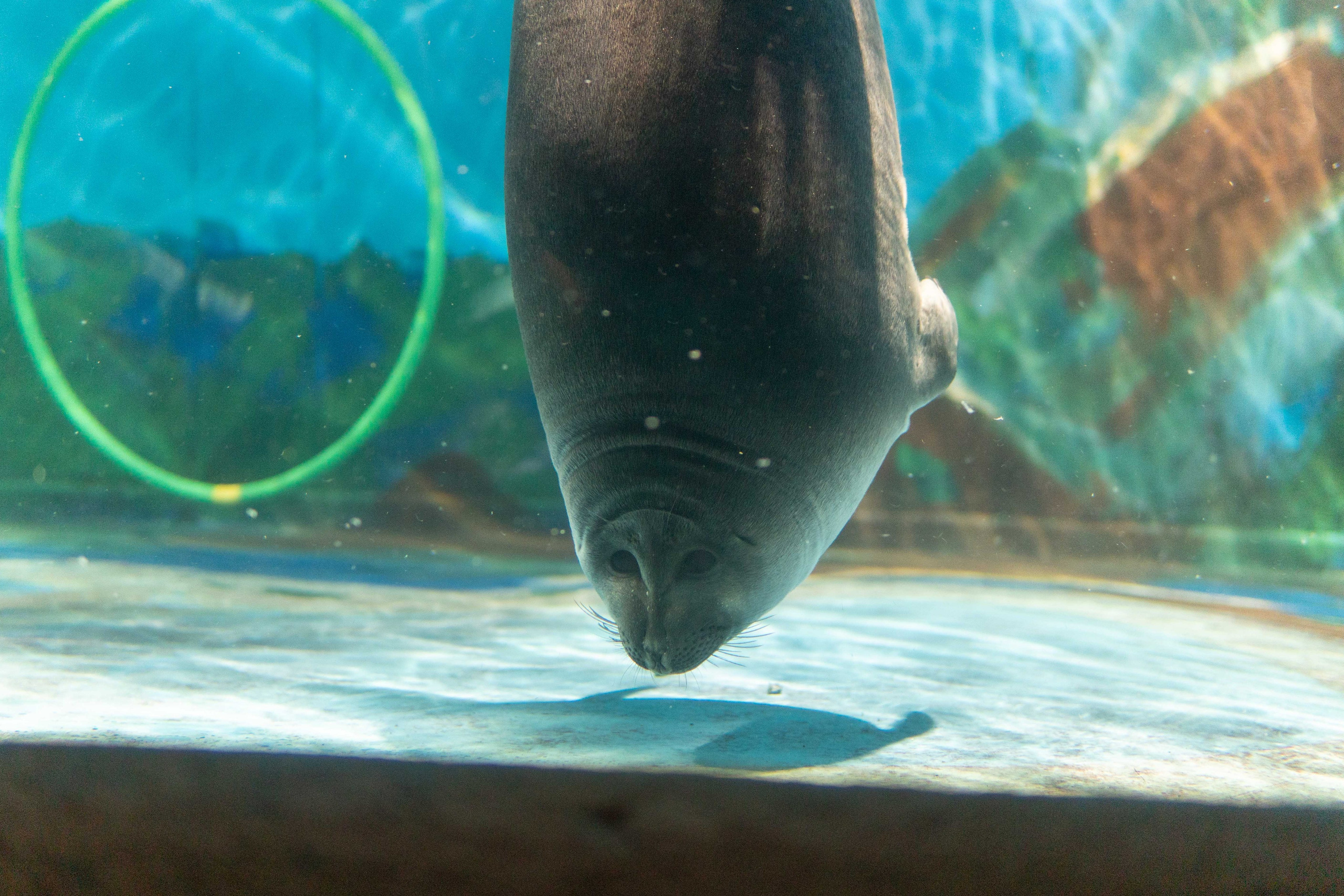 Экскурсия краснодарской делегации. Медиа-портфолио Марии Абрашиной