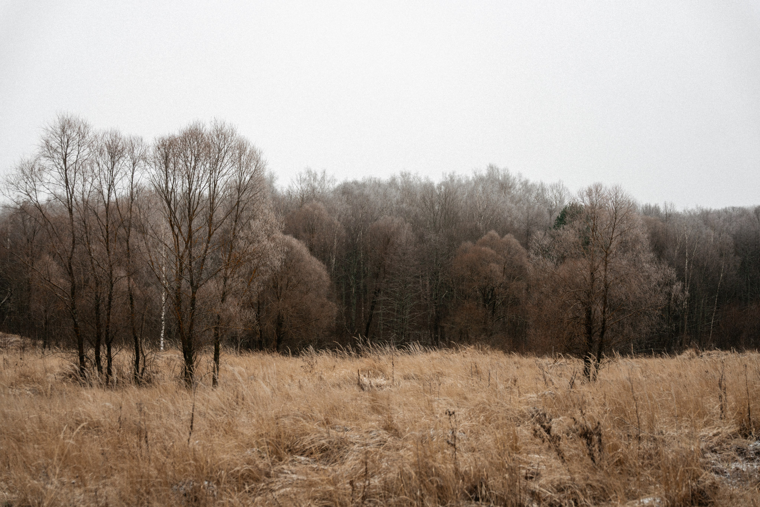 Прогулка по оврагу близ реки. Vlad Trykov