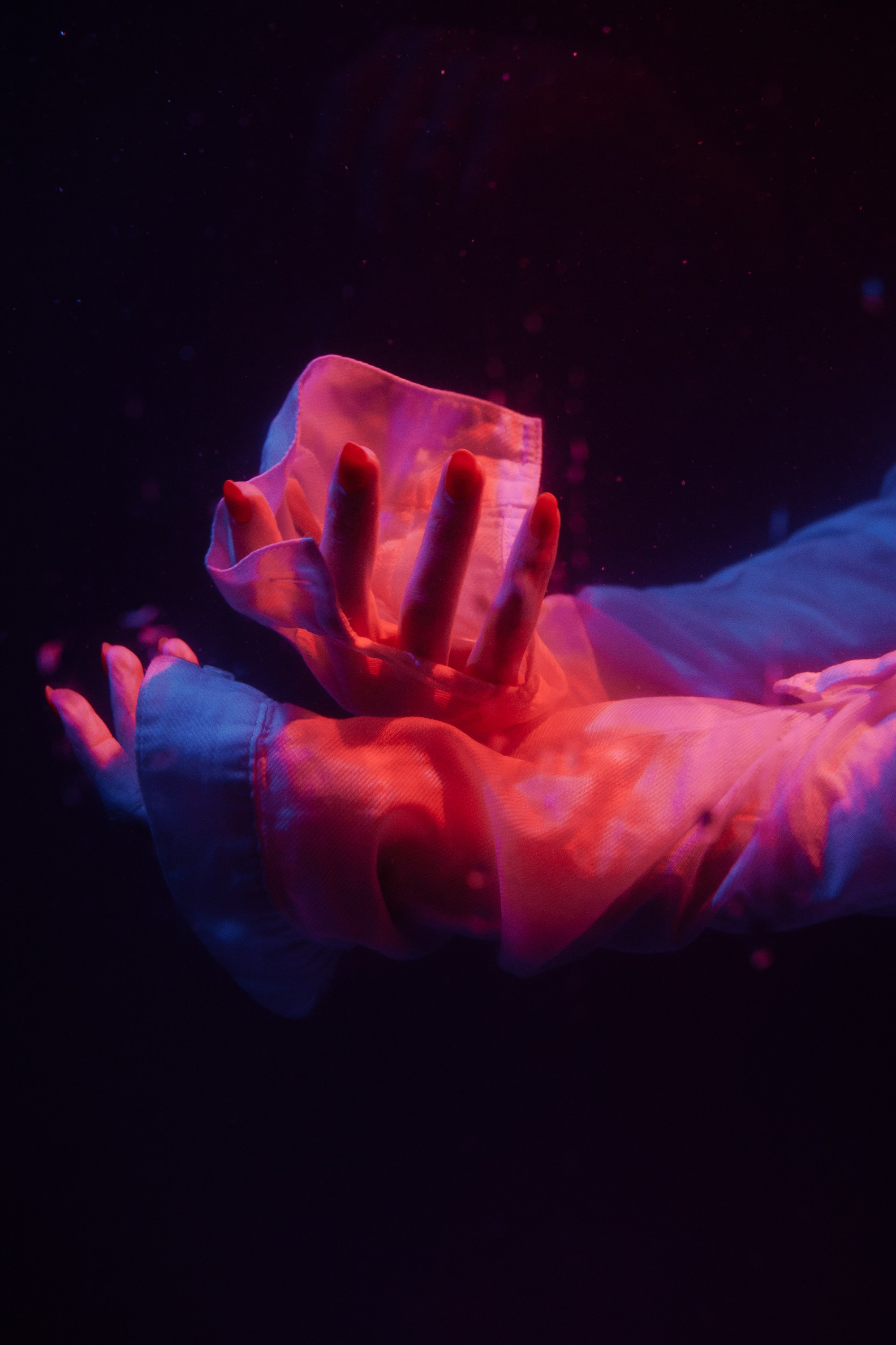 Глоток свежего воздуха. Свадебный фотограф