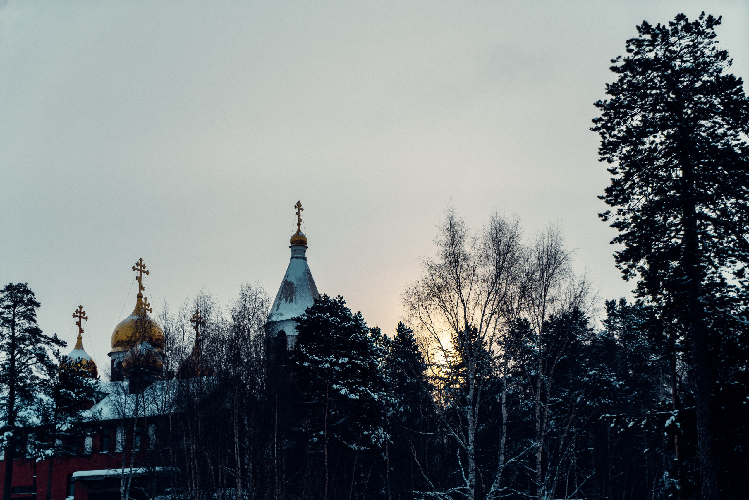 Ноябрьск, Март 2024