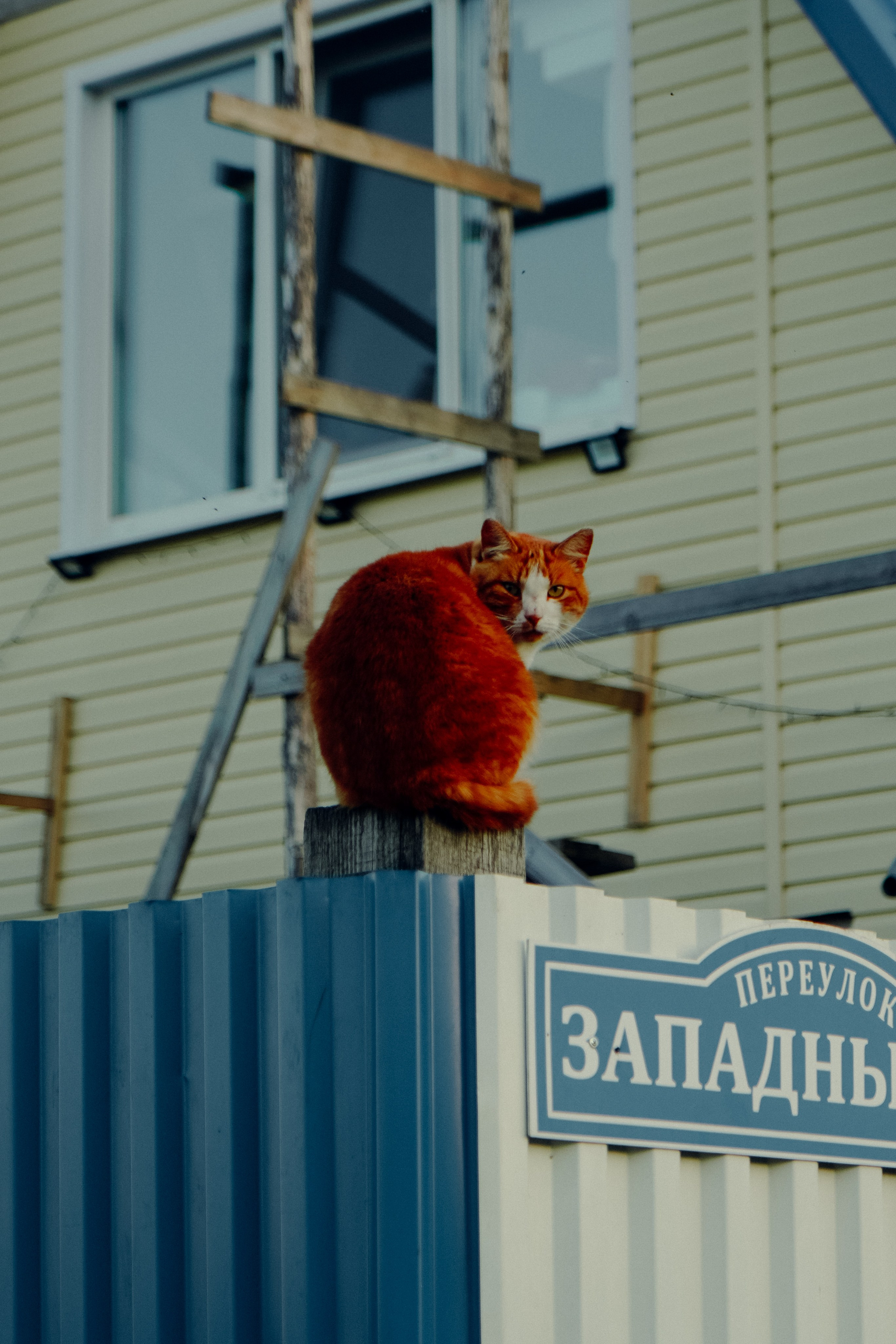 Сухой лог, Сентябрь 2023