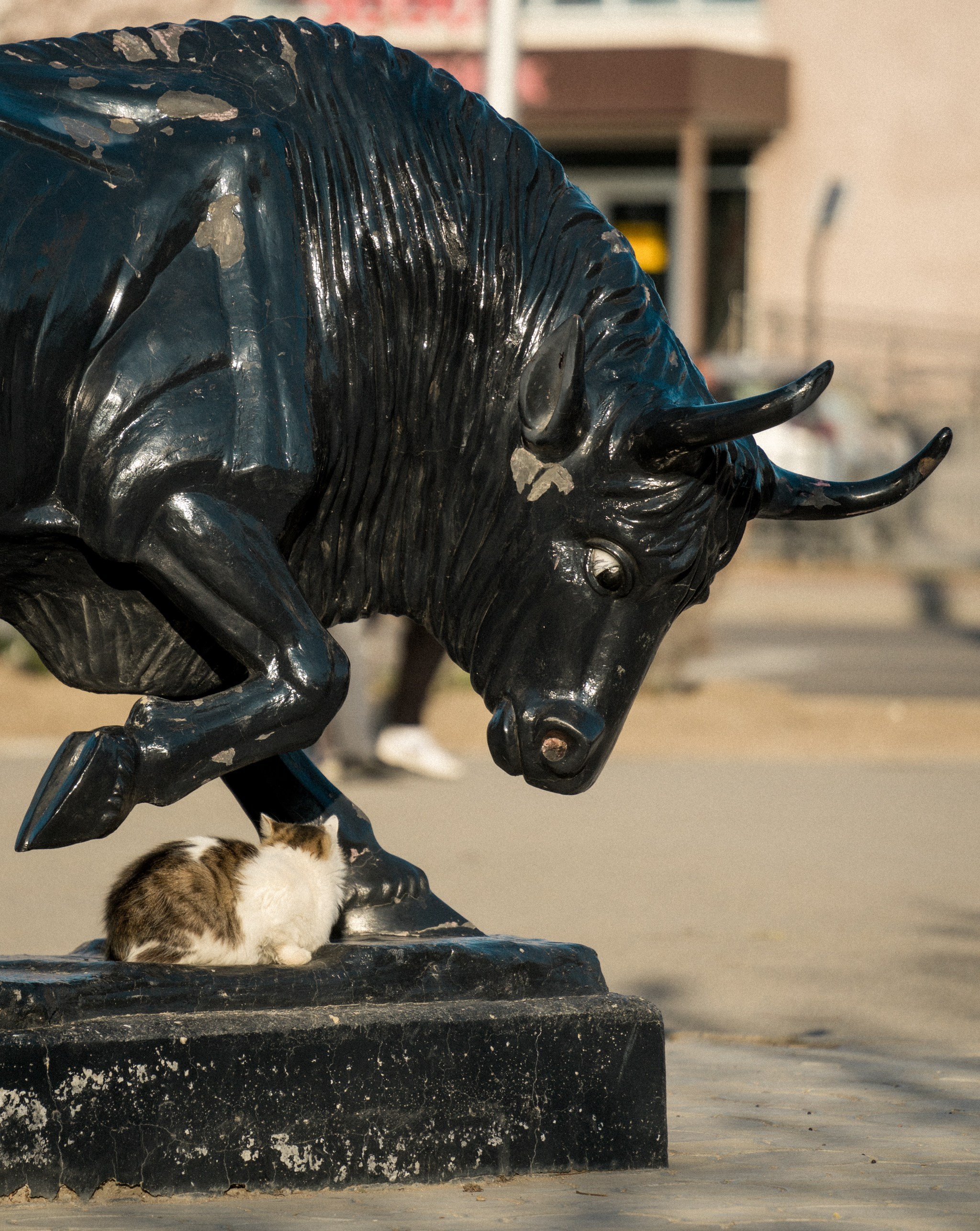 Актау, Ноябрь 2024