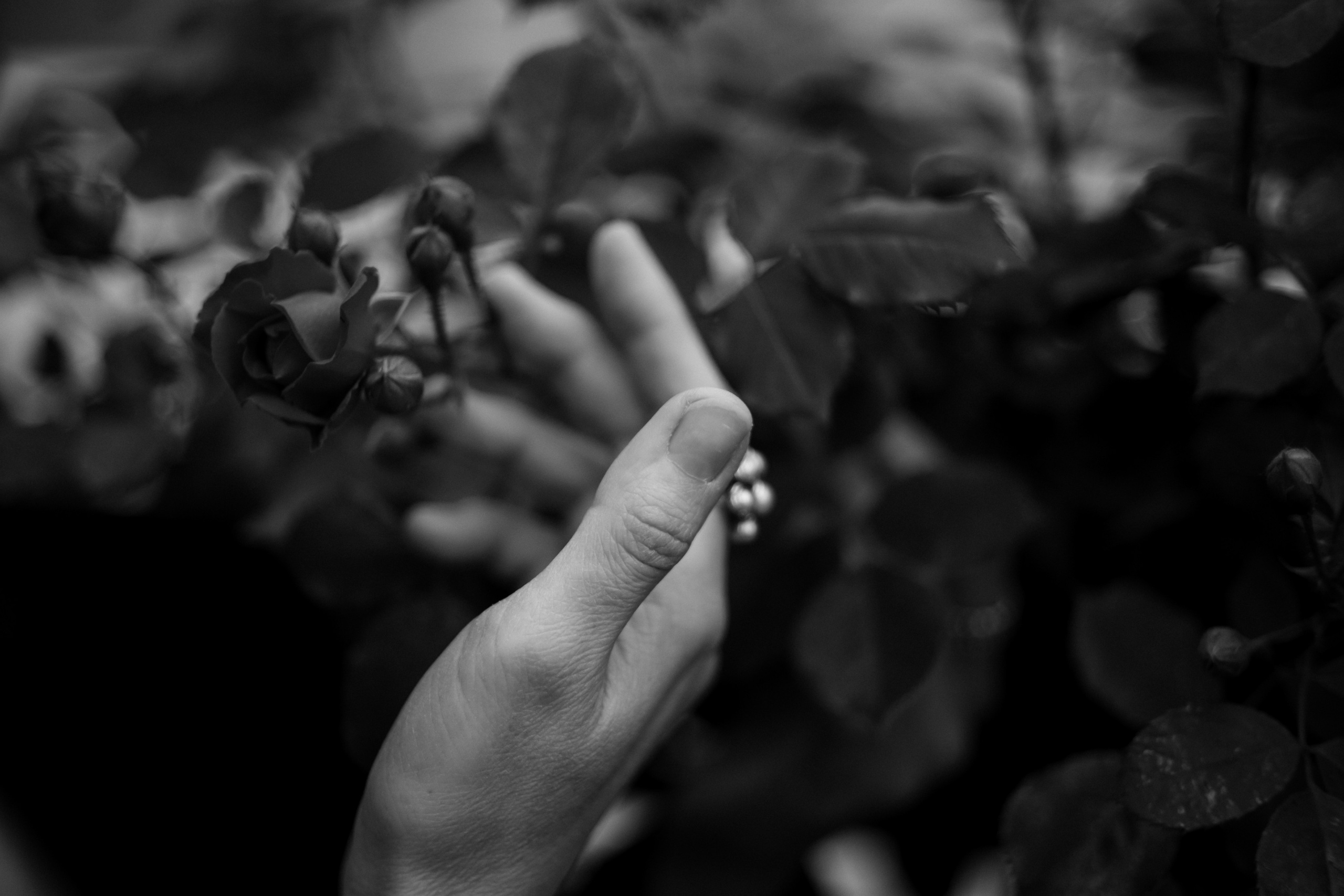 Лиза. Фотограф в Астрахани Миронова Анастасия