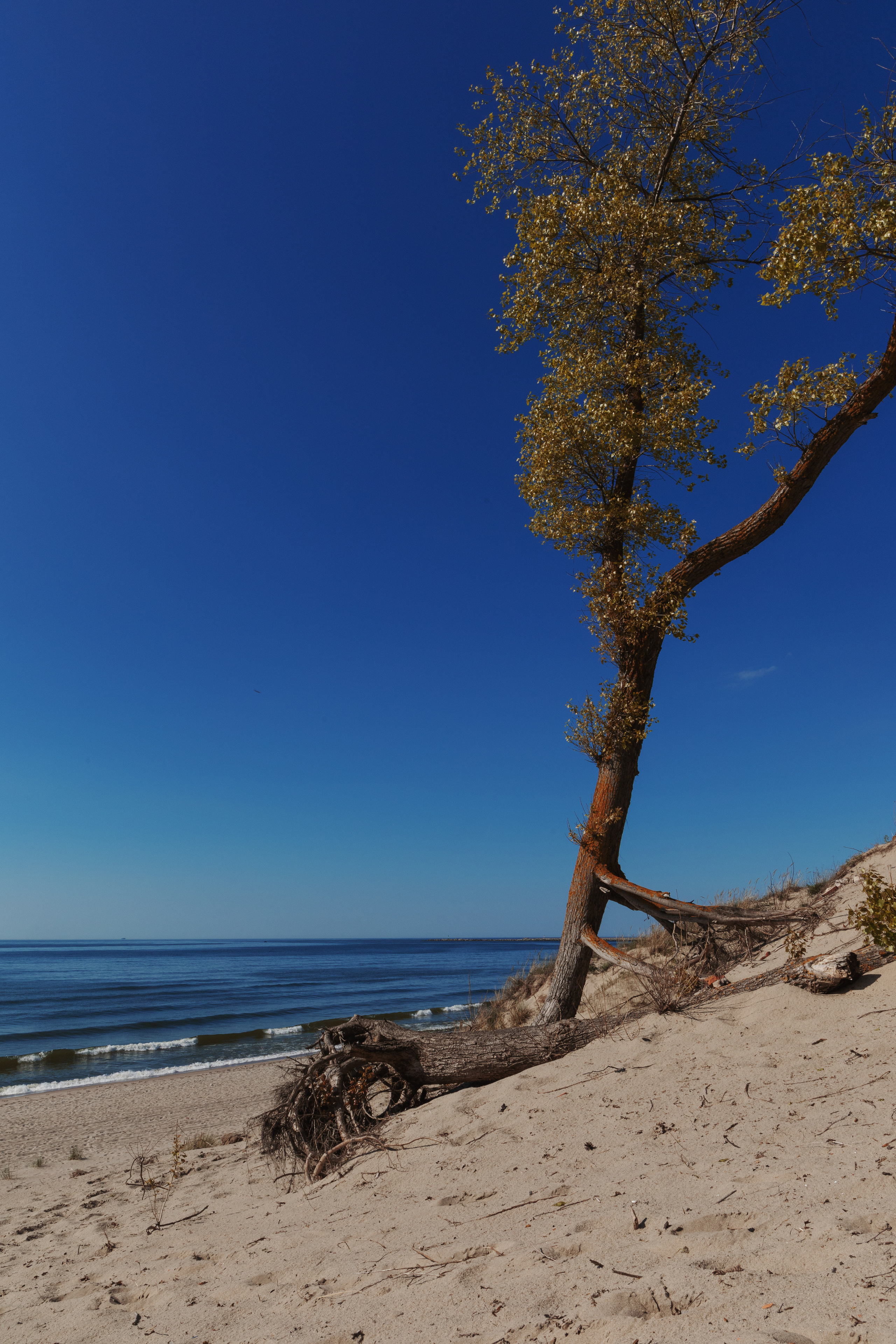 Личная фотосессия Москва. Свадебный фотограф Москва Анастасия Храмова