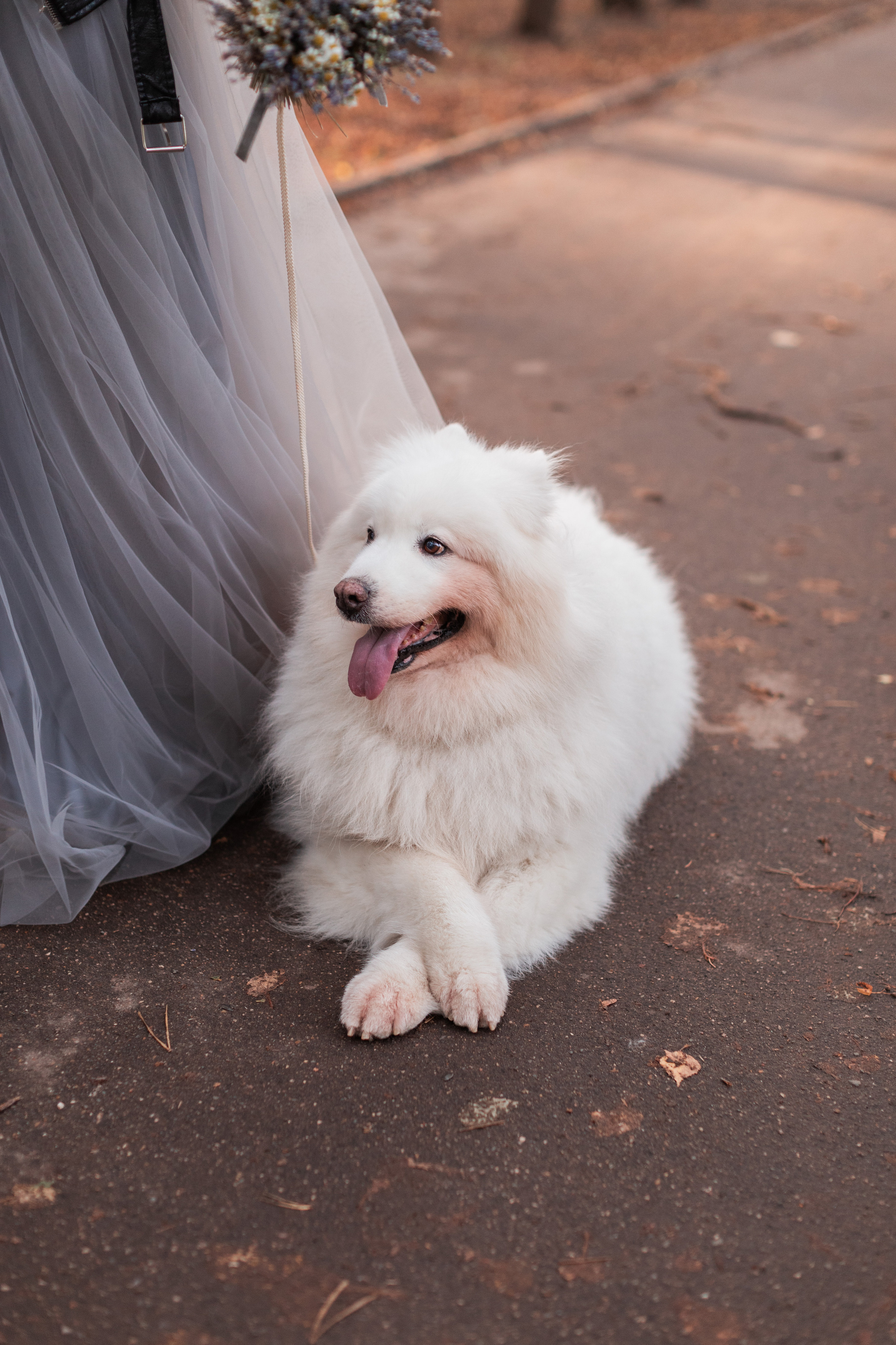 Катарина и Саша. Свадебный фотограф Москва Анастасия Храмова