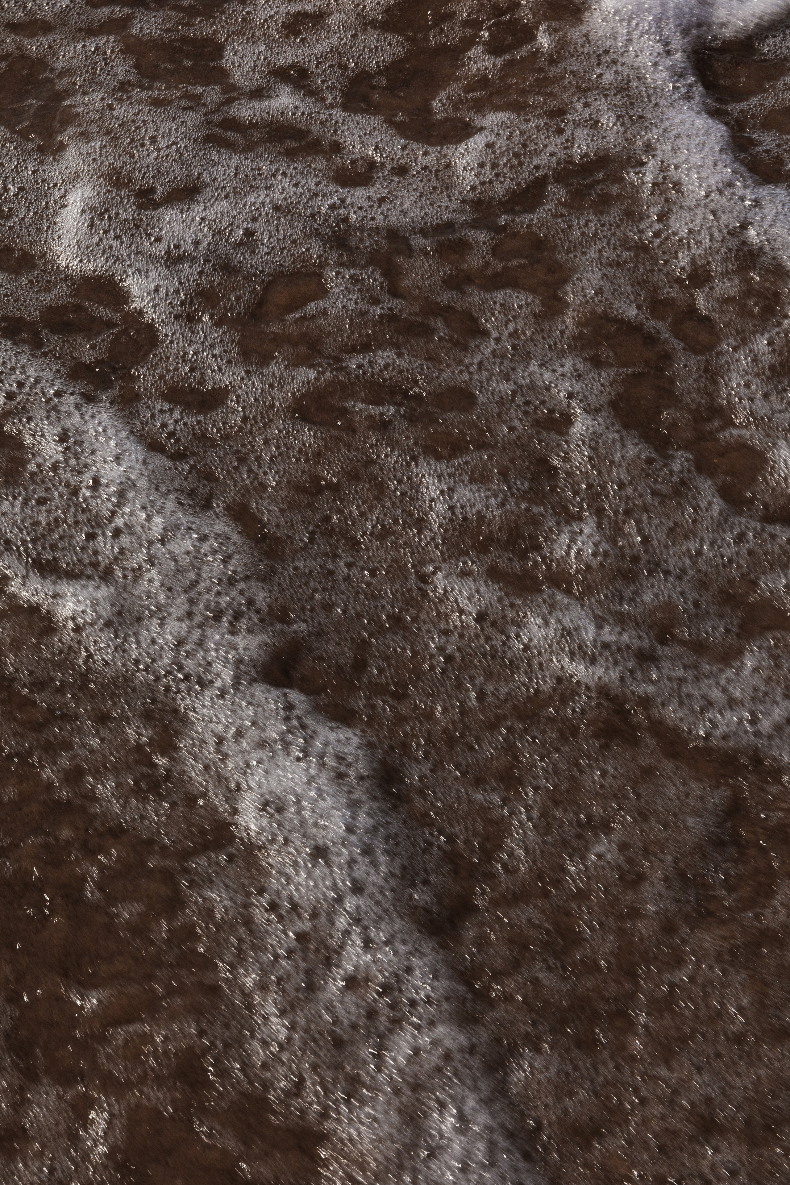 Личная фотосессия Москва. Свадебный фотограф Москва Анастасия Храмова