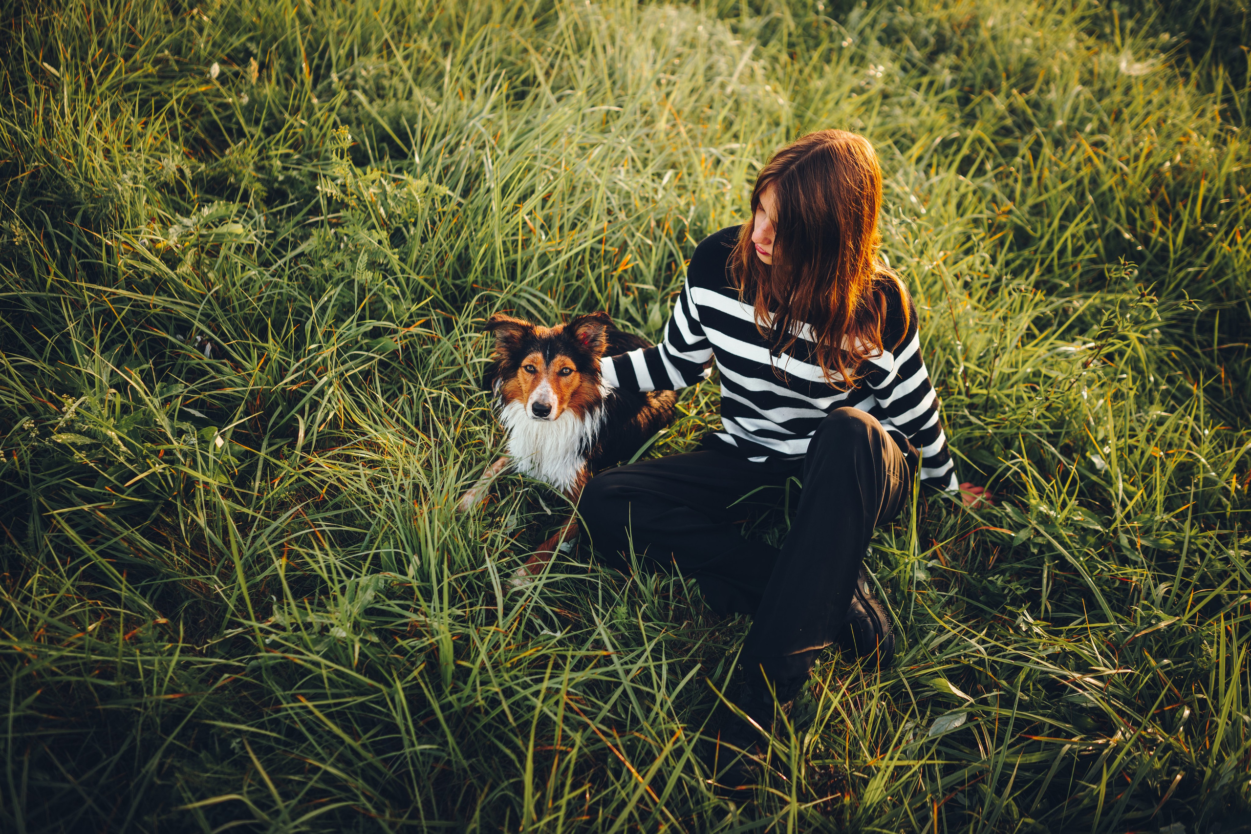 Саша, Флик и Эсприт. Семейный фотограф анималист Ананьева Мария — Москва