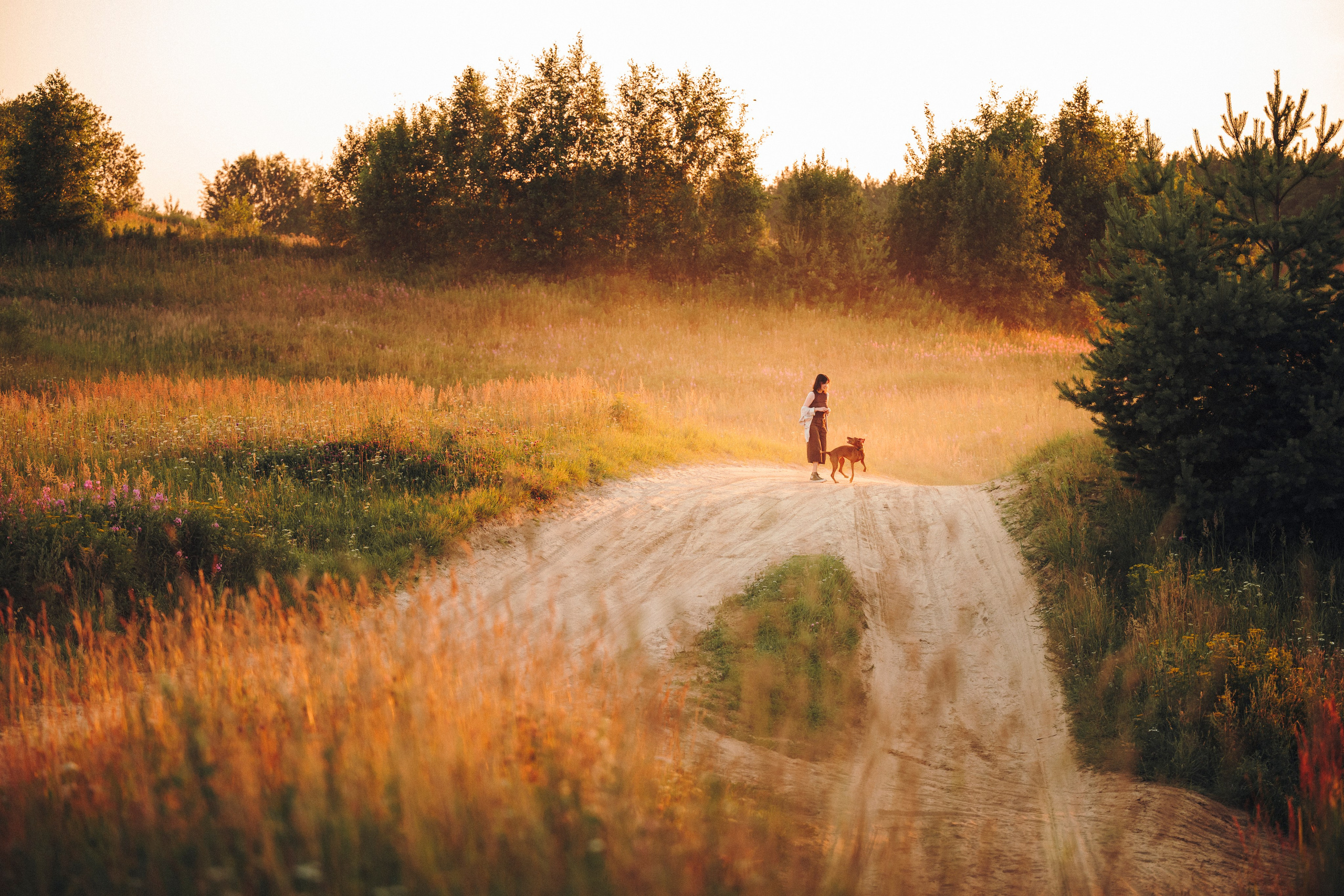 Маша, Трисс и Эста. Семейный фотограф анималист Ананьева Мария — Москва