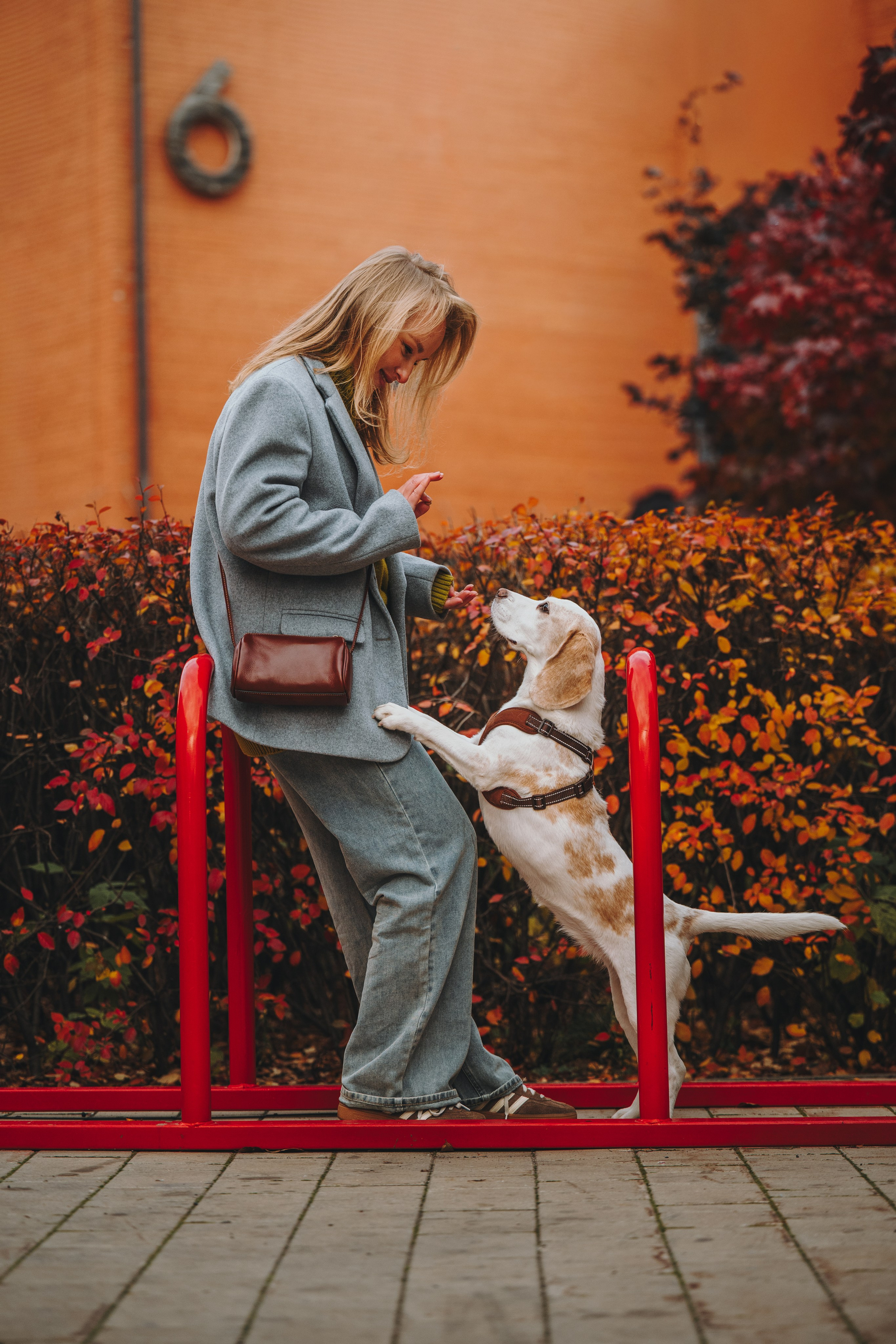 Pawsitive. Семейный фотограф анималист Ананьева Мария — Москва
