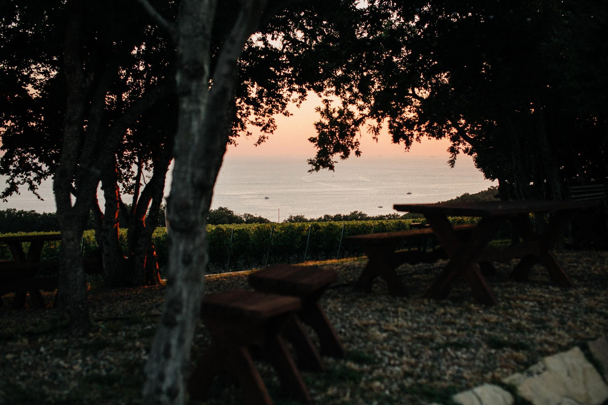 Репортажная фотосессия в Шато де Талю. Свадебный, репортажный фотограф Дмитрий Макарченко