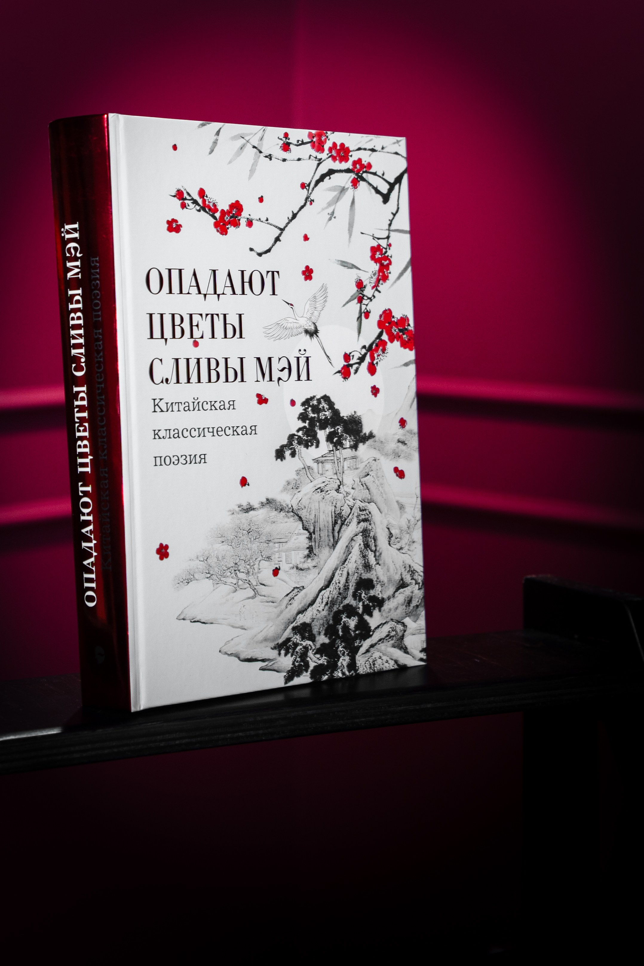 Книги/предметка. Контент-съёмка и бизнес-портреты в Москве. Виктория Кулюкина