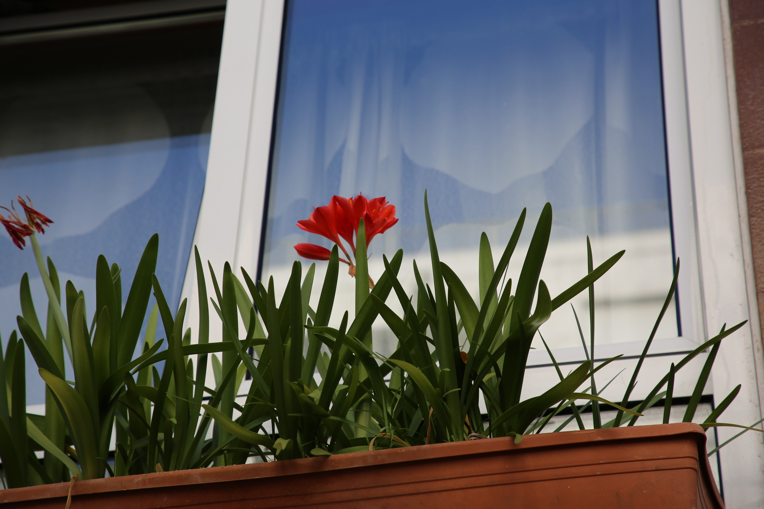 Lisbon, Portugal. Andrey Filippov Photographer