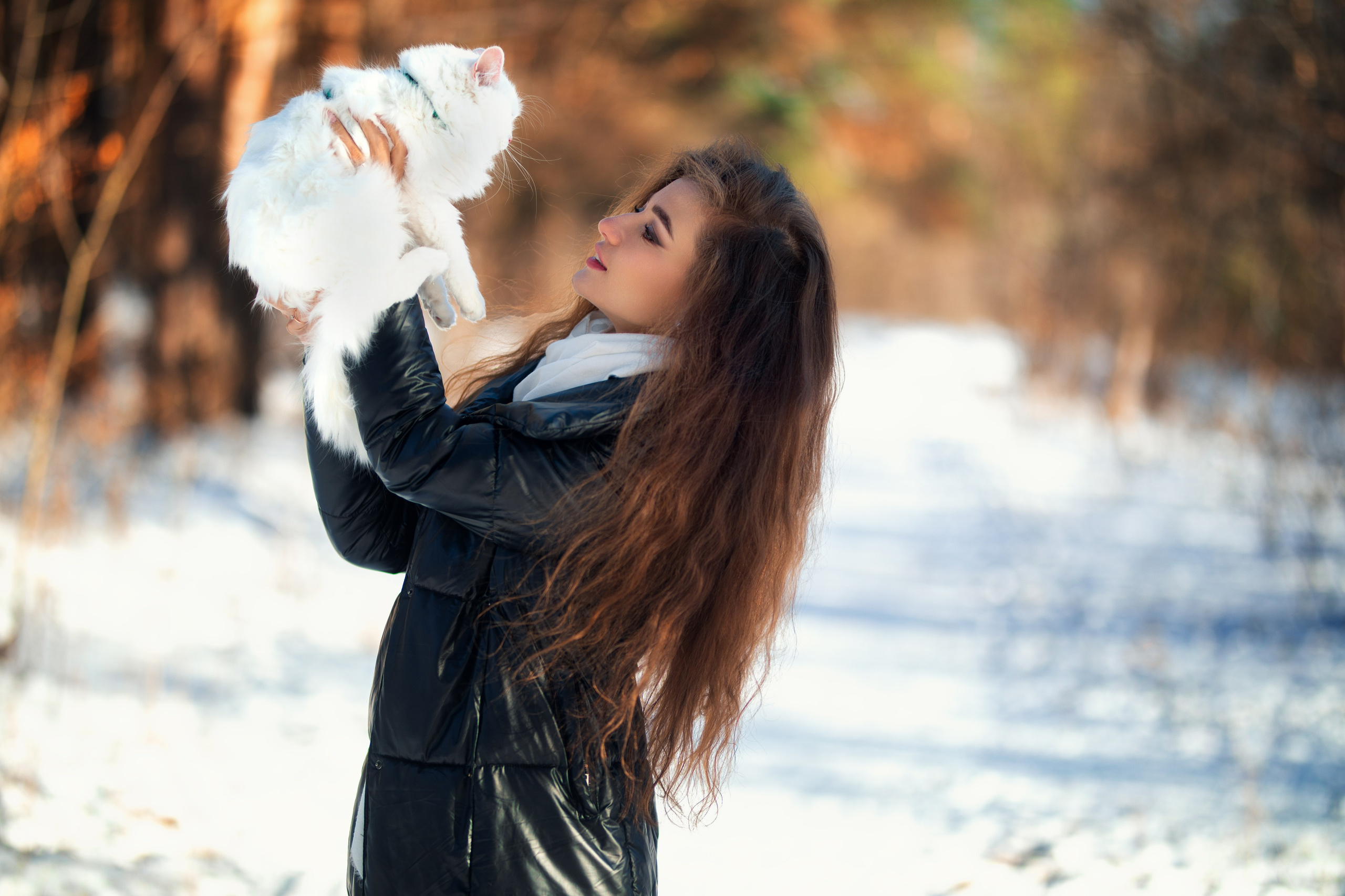Фотосет с кошкой Евой зимой на улице с Дианой в формате для «себя»