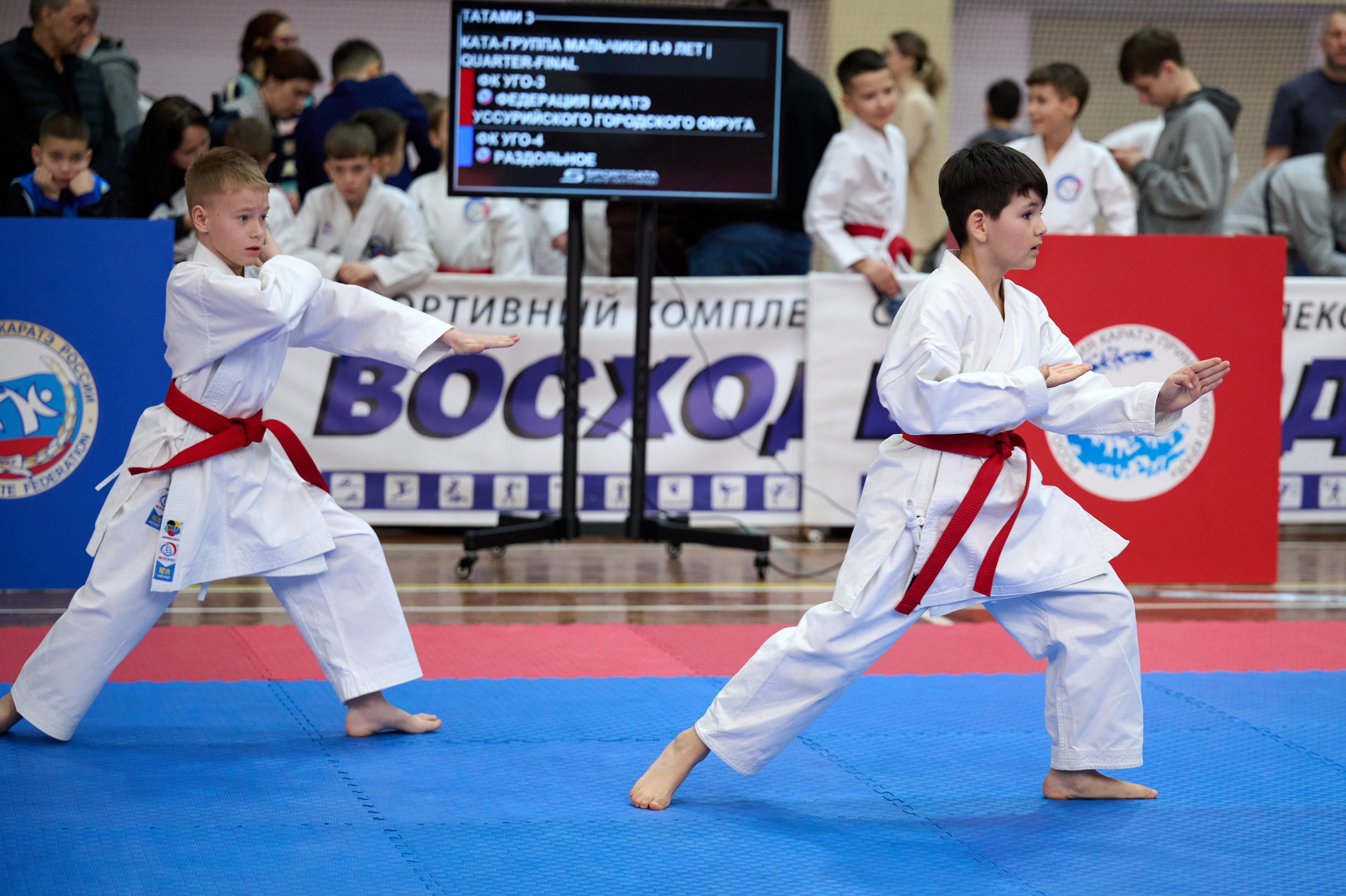 Чемпионат первенства Приморья по карате 28.03.26. Профессиональный репортажный фотограф Инесса Иминова