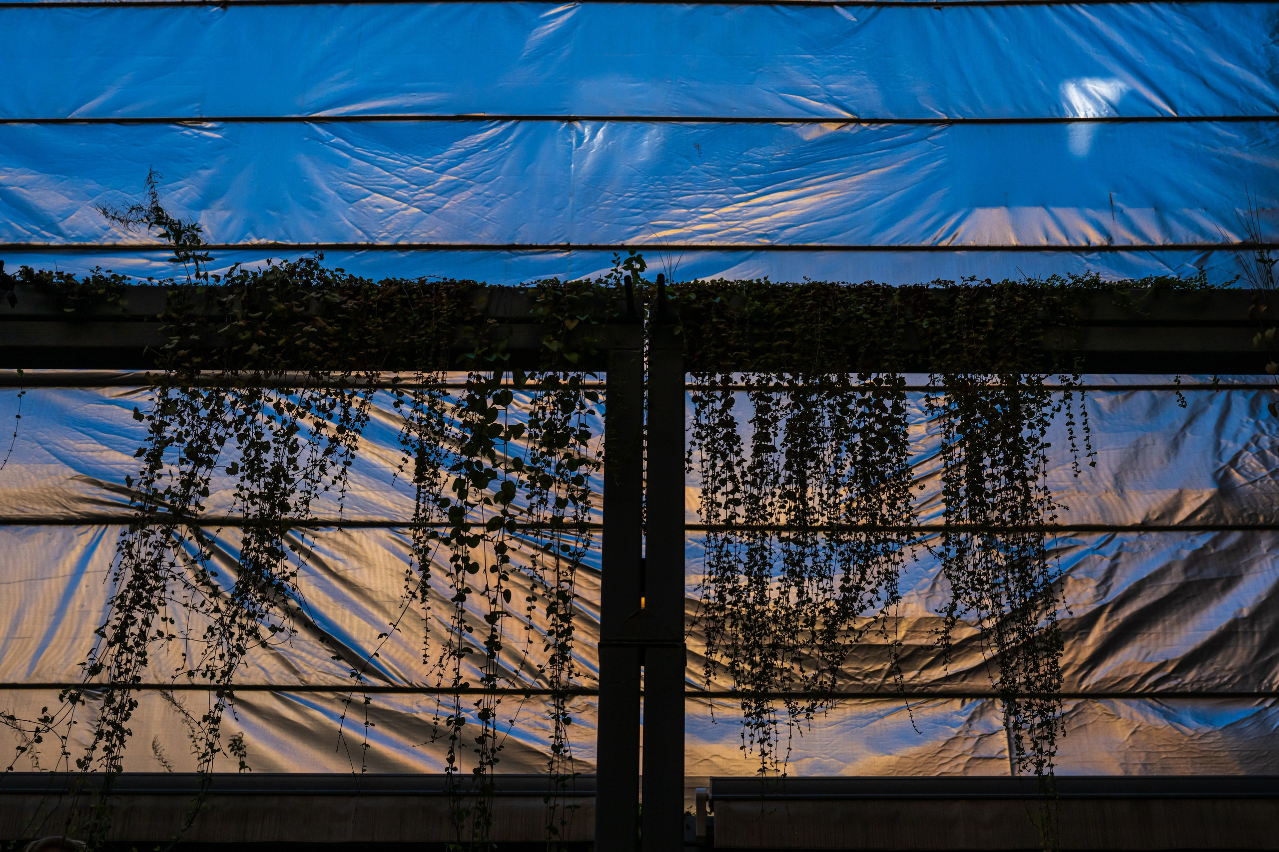 Light. Dimitri Bakhtadze photographer