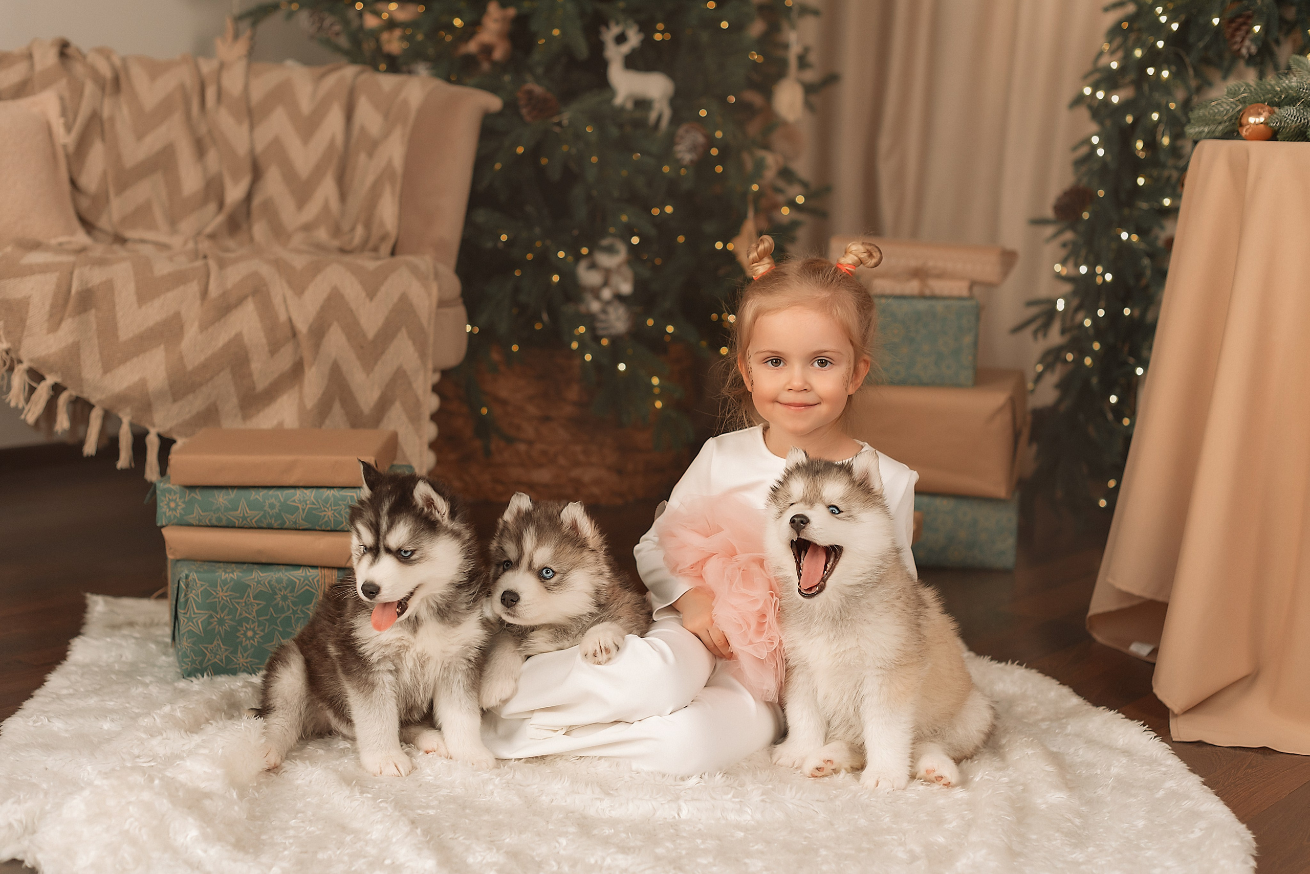 Фотодень с хаски (ноябрь, декабрь). Детская и семейная фотостудия в Санкт-Петербурге «РАМКА»