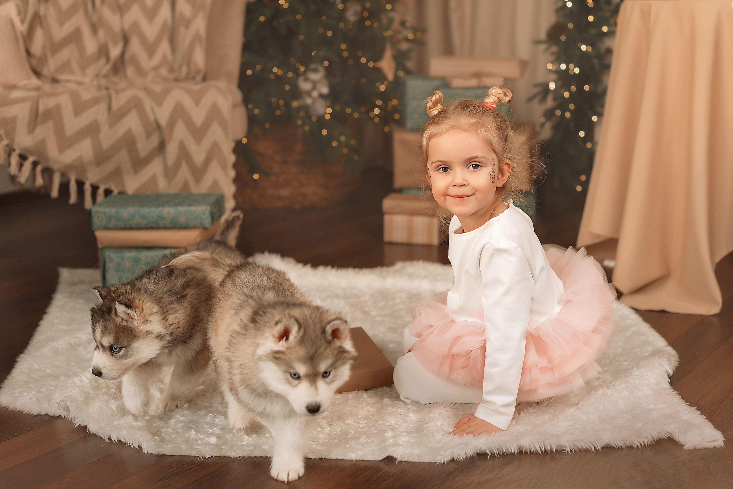 Фотодень с хаски (ноябрь, декабрь). Детская и семейная фотостудия в Санкт-Петербурге «РАМКА»