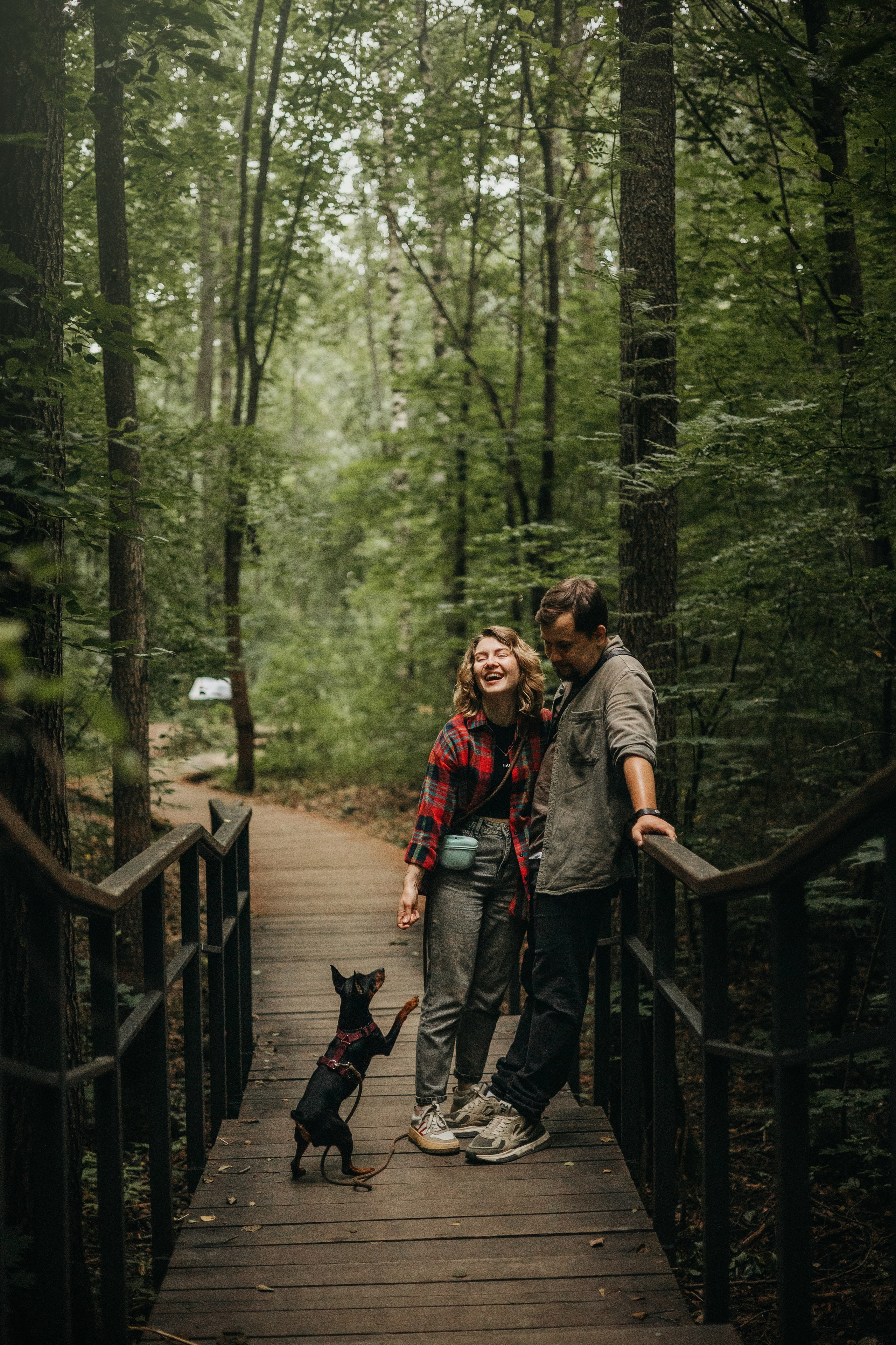 Сириус и его семья. Фотограф — Анималист | Санкт-Петербург