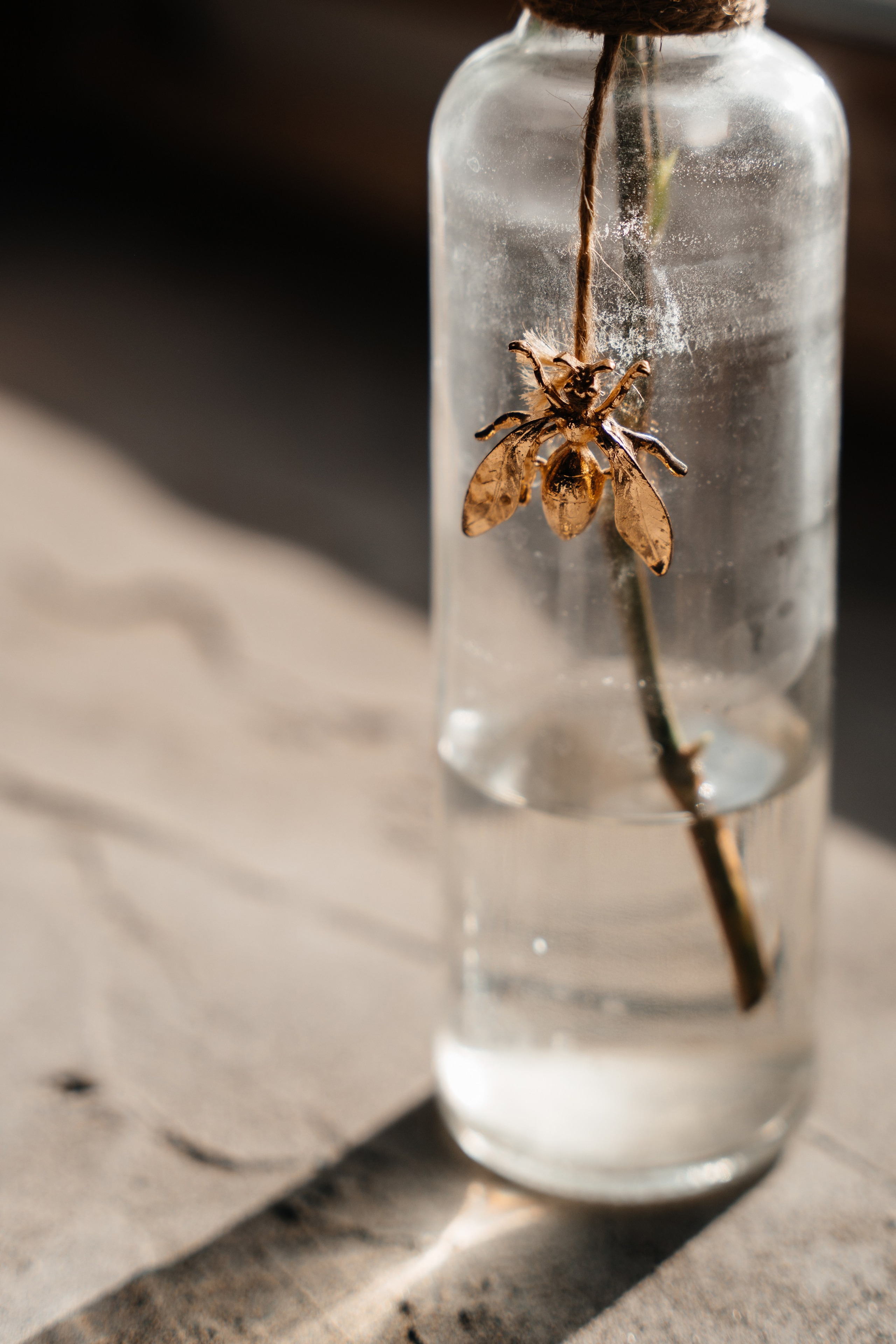 ПРОЕКТ ТЕОРИЯ. Свадебный фотограф Барнаул Алексей Павлов