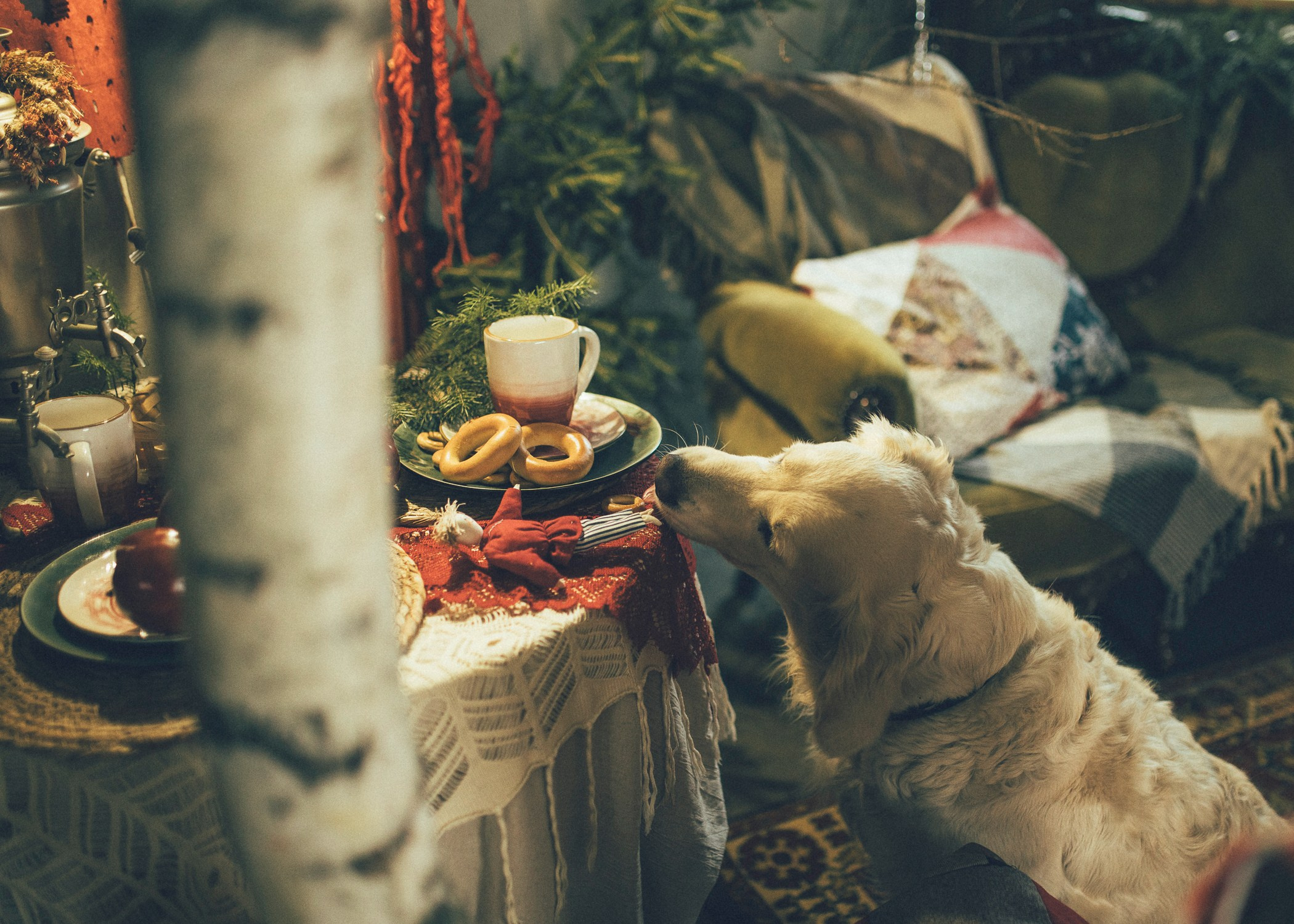 Фотостудия Зачарованный сад в Екатеринбурге — Студия с роялем для незабываемых фотосессий. Фотостудия «Зачарованный Сад» в 20 минутах от центра Екатеринбурга