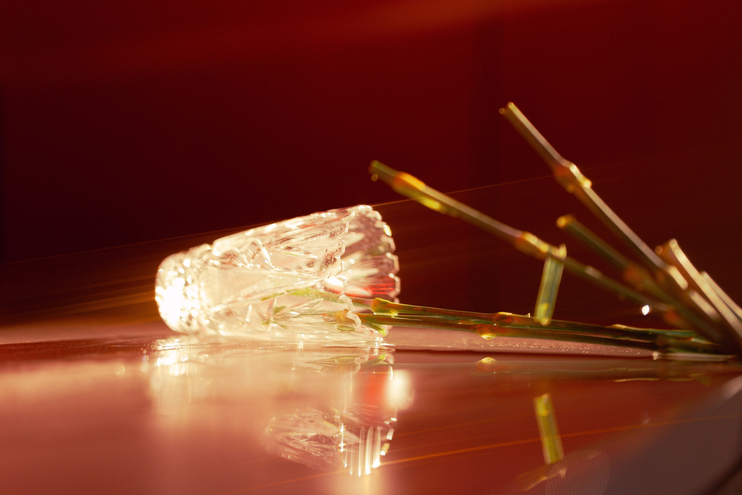 ◦ Света ◦. Главная