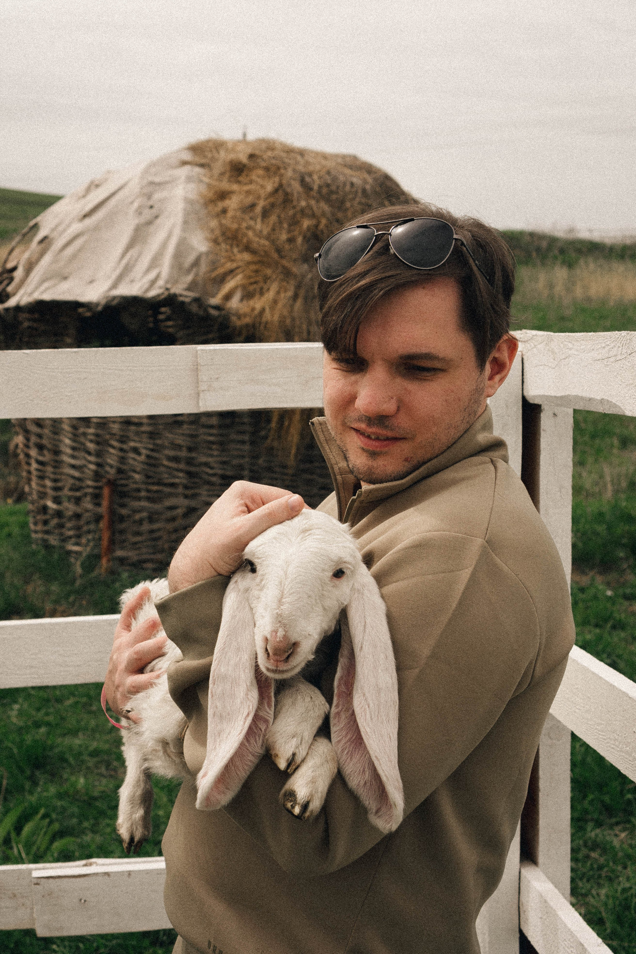 Ферма Альпак. Профессиональный фотограф, Санкт-Петербург — Виктория Богомолова