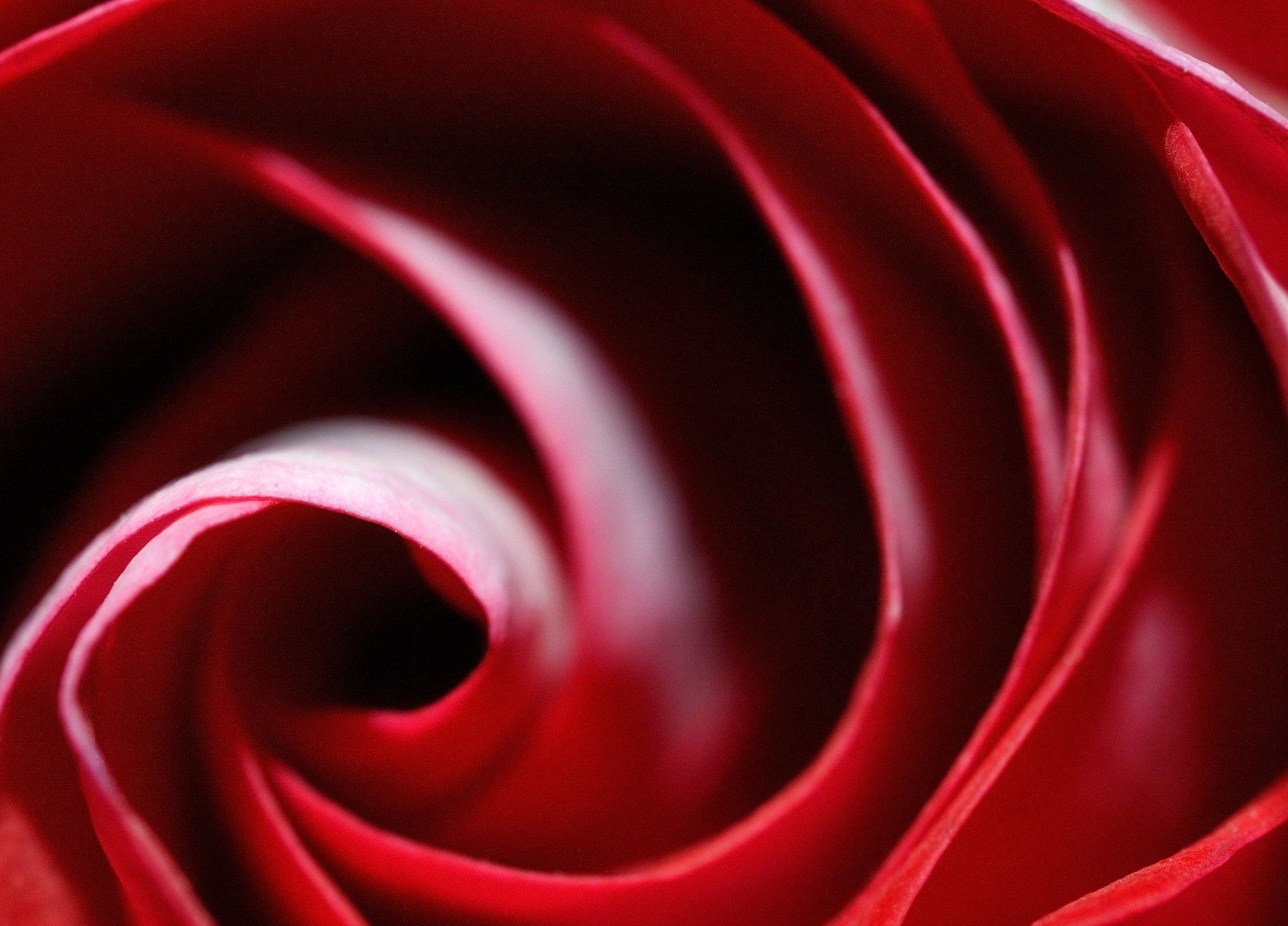 Весна. Пейзажный и предметный фотограф в Санкт-Петербурге Александр Богданов