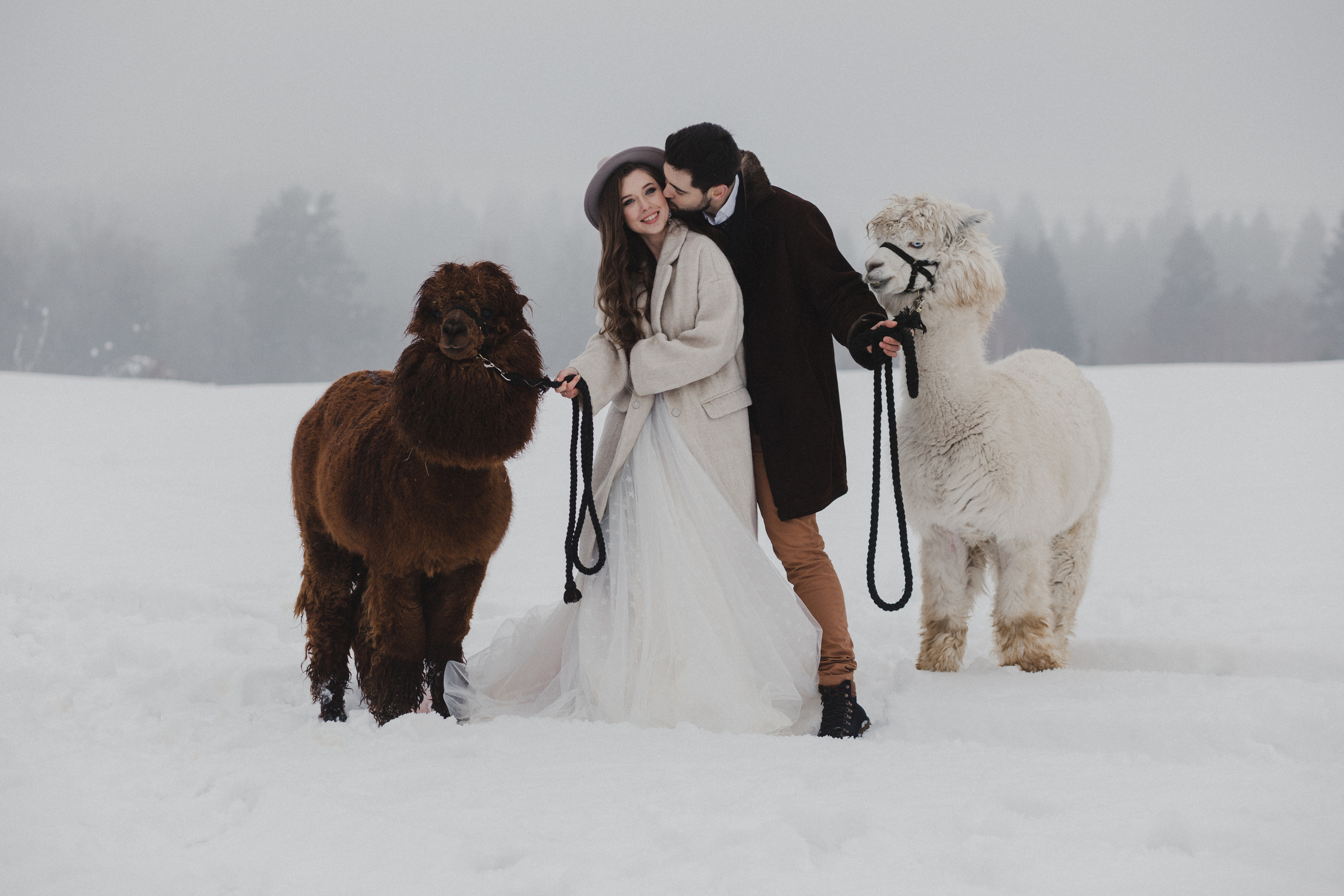 Свадьба зимой Зимняя свадьба Выездная регистрация. Свадебный фотограф Калуга Москва Диана Румянцева