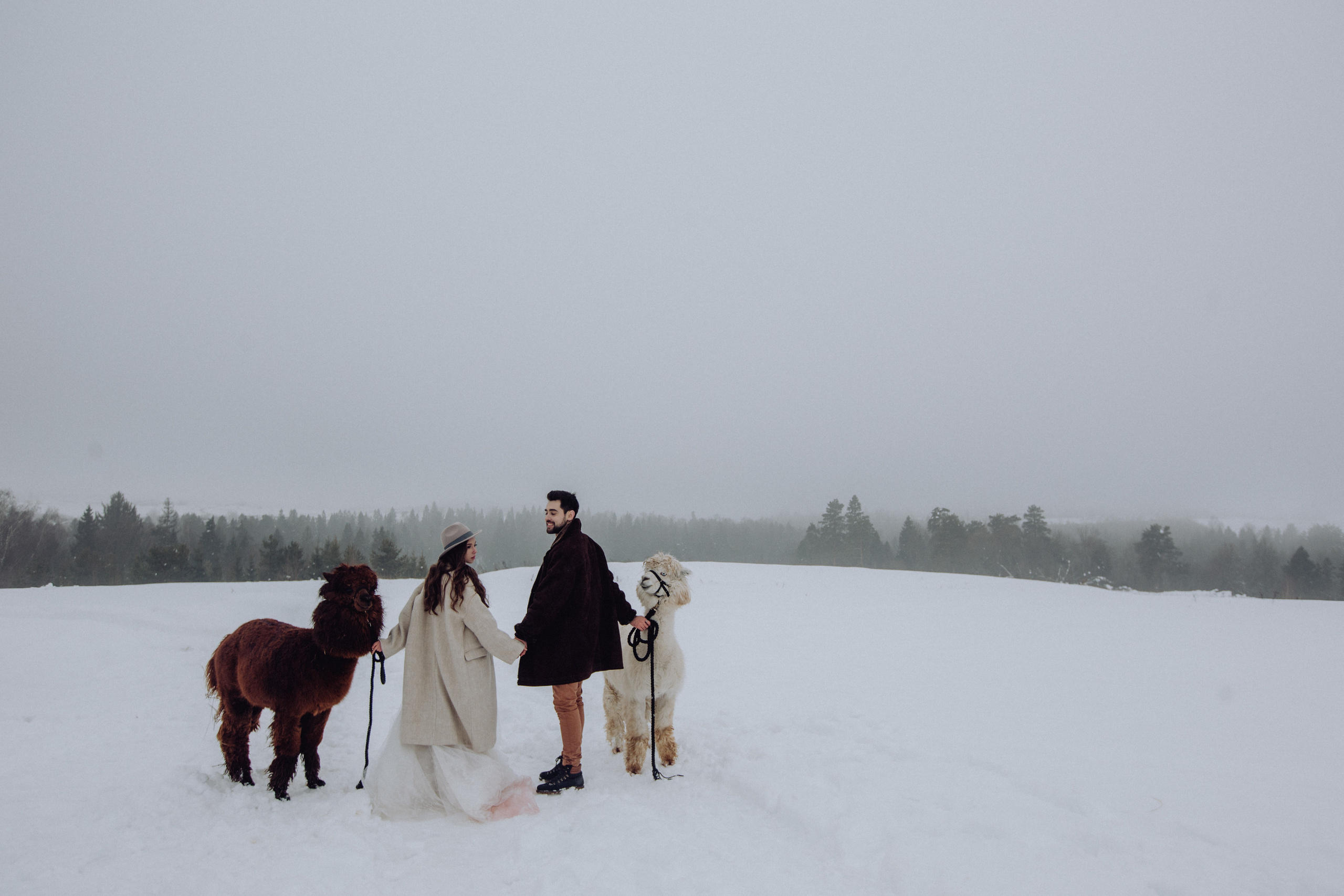 Свадьба зимой Зимняя свадьба Выездная регистрация. Свадебный фотограф Калуга Москва Диана Румянцева