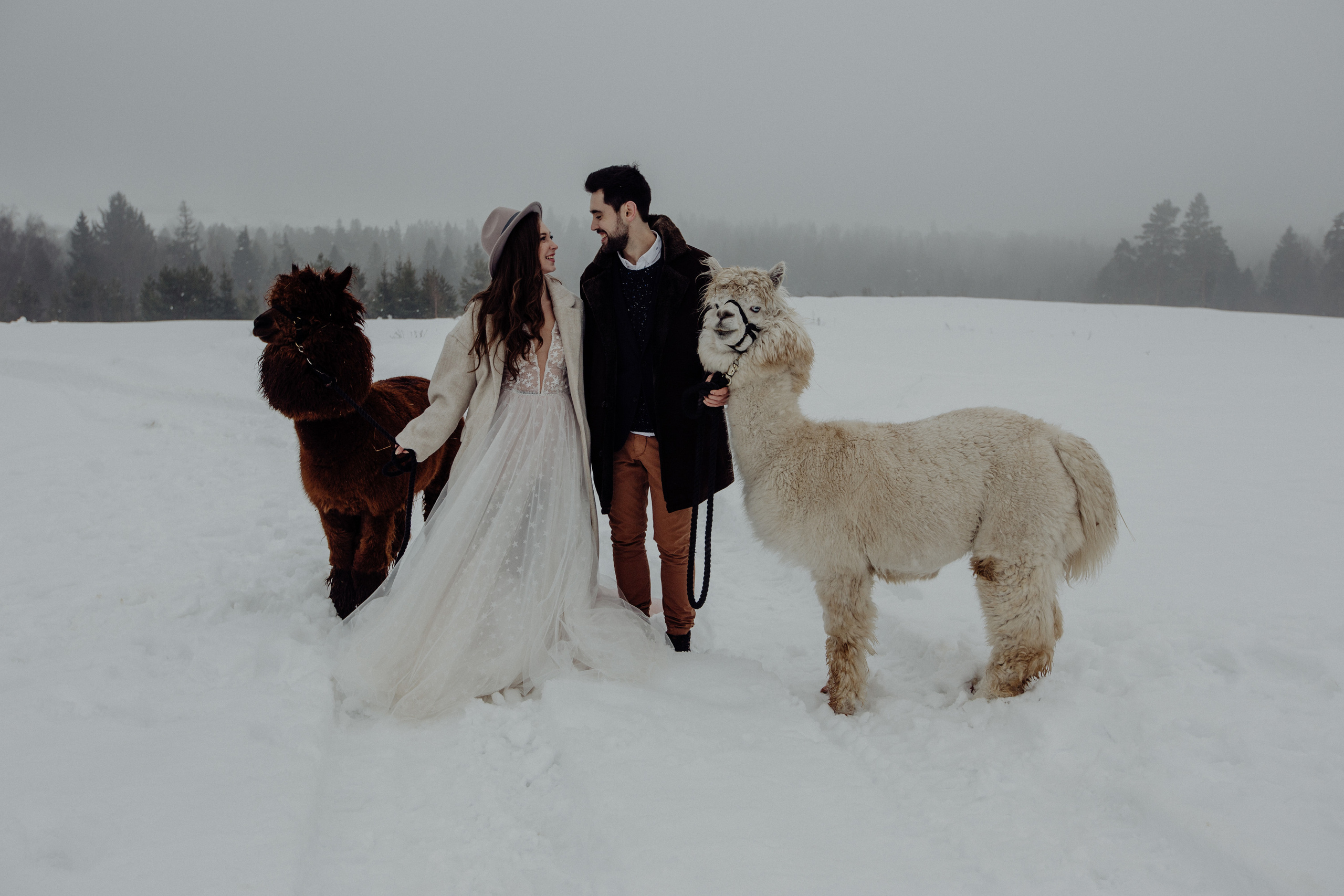 Свадьба зимой Зимняя свадьба Выездная регистрация. Свадебный фотограф Калуга Москва Диана Румянцева