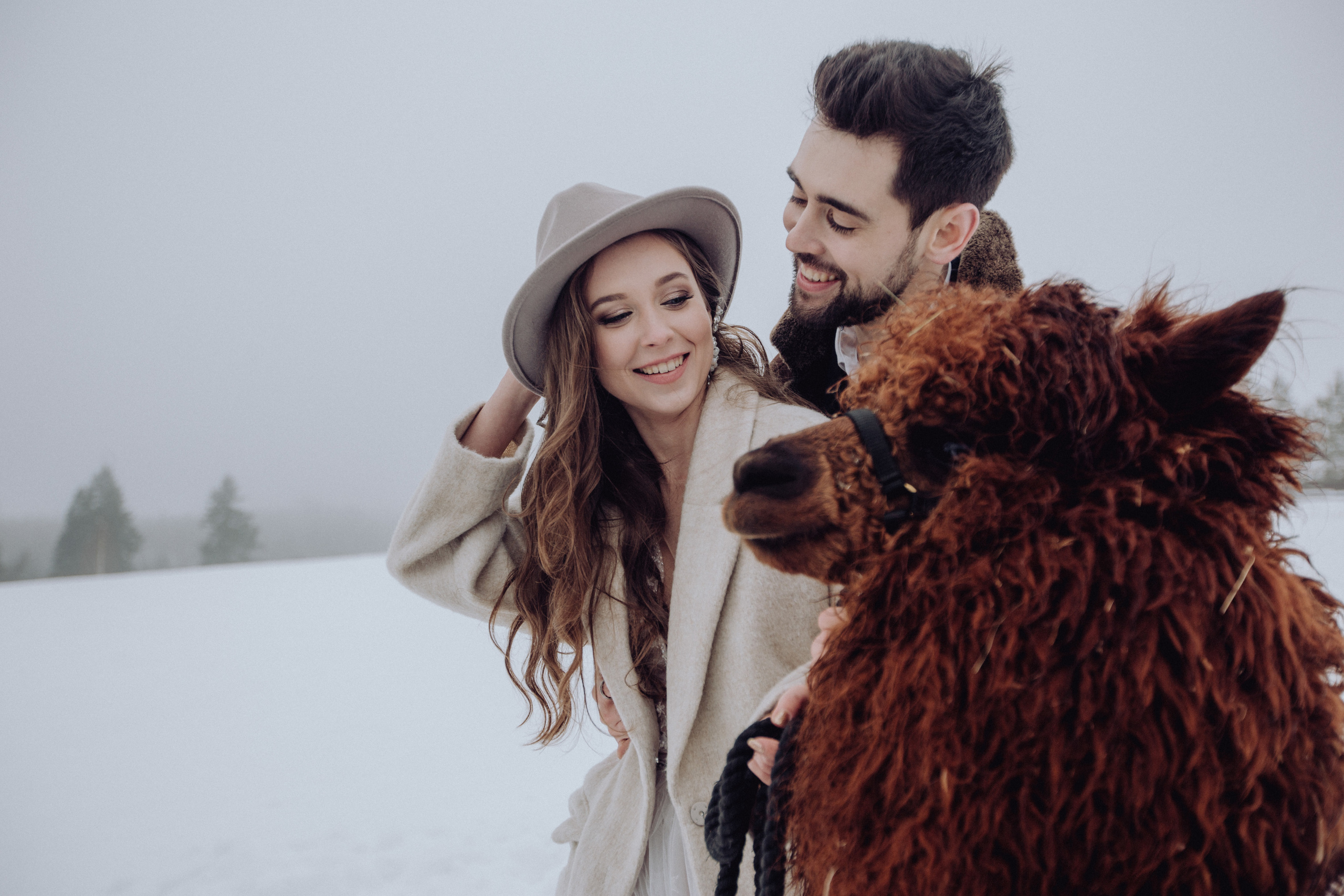 Свадьба зимой Зимняя свадьба Выездная регистрация. Свадебный фотограф Калуга Москва Диана Румянцева