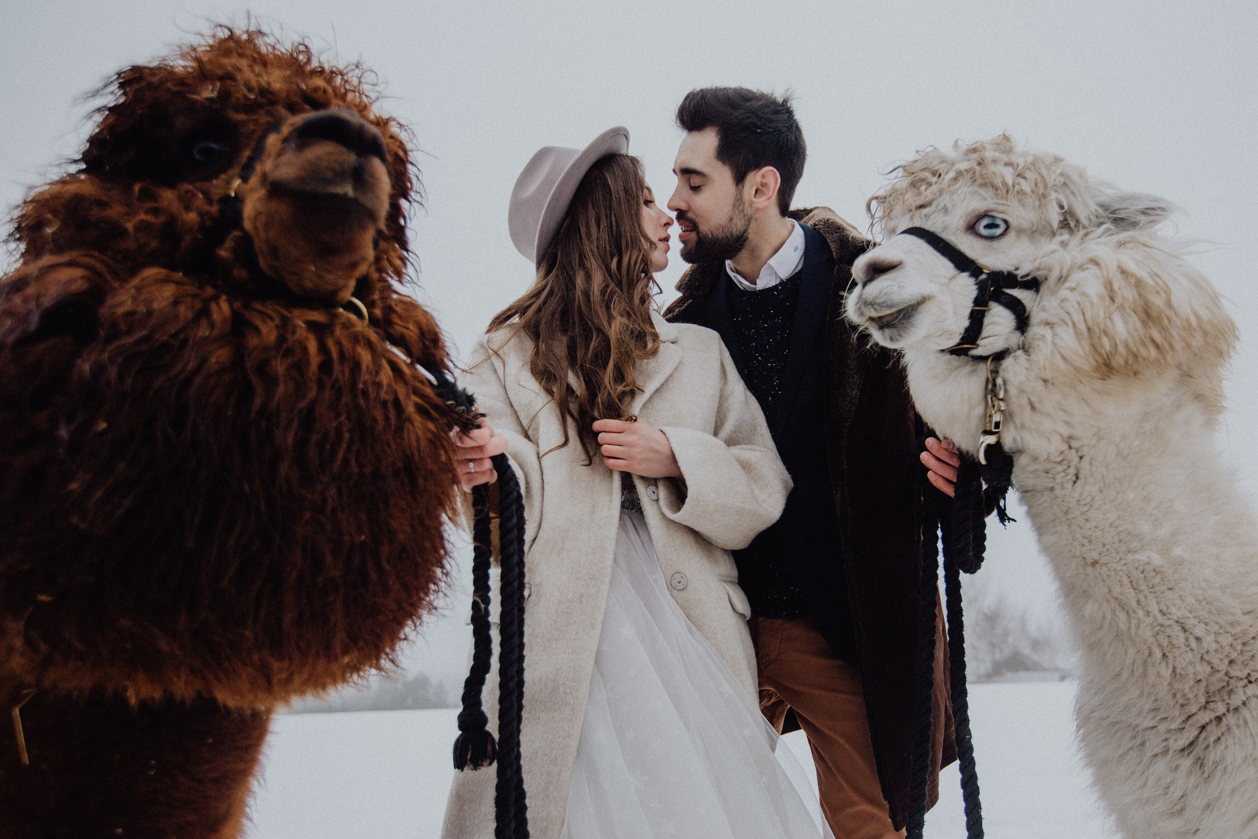 Свадьба зимой Зимняя свадьба Выездная регистрация. Свадебный фотограф Калуга Москва Диана Румянцева