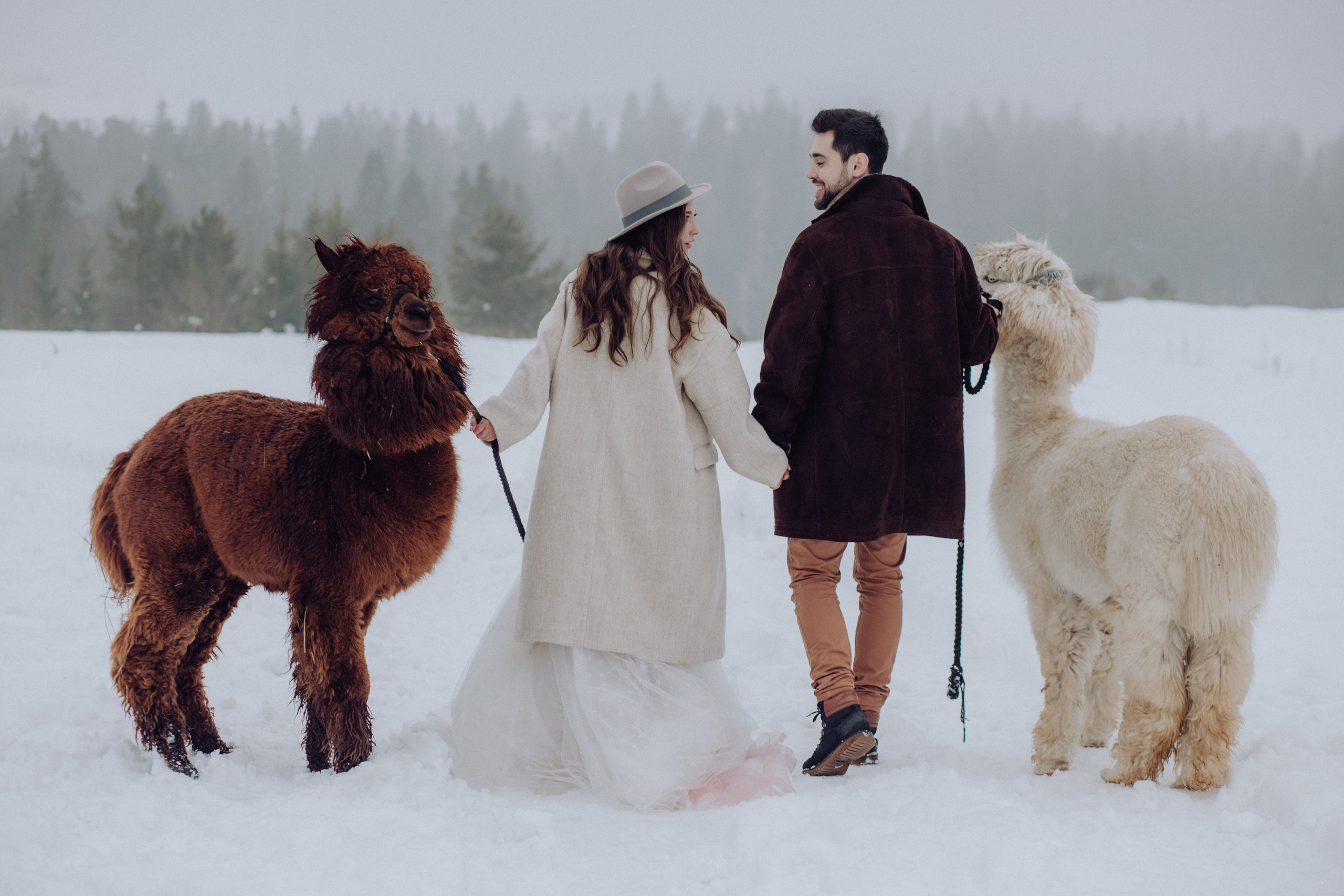 Свадьба зимой Зимняя свадьба Выездная регистрация. Свадебный фотограф Калуга Москва Диана Румянцева